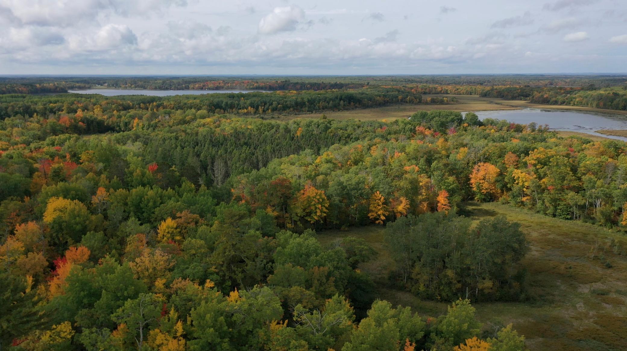 land for sale at 4558 Angelas Drive in Pine River, MN (photo 27 of 88)
