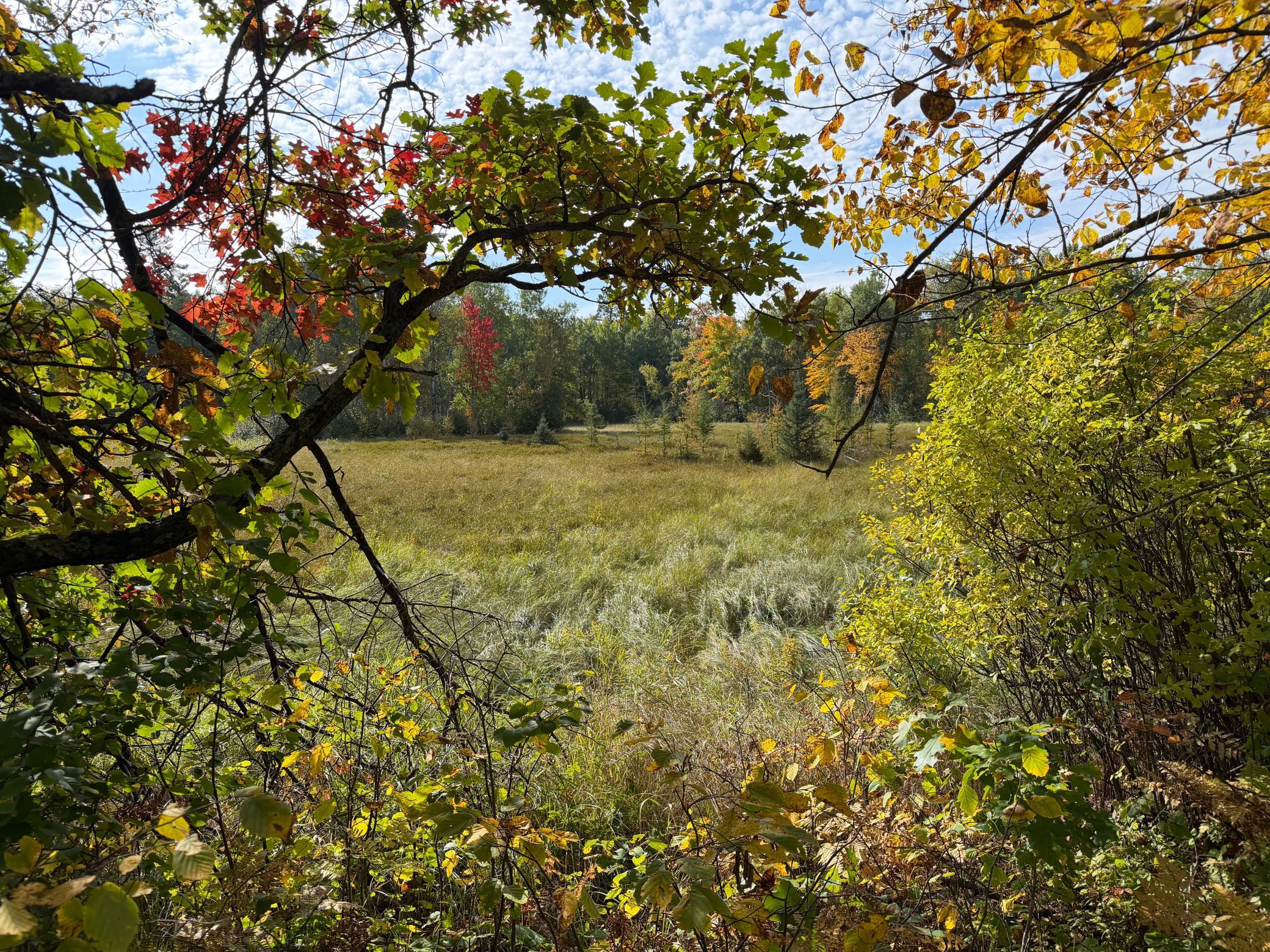 land for sale at 4558 Angelas Drive in Pine River, MN (photo 28 of 88)