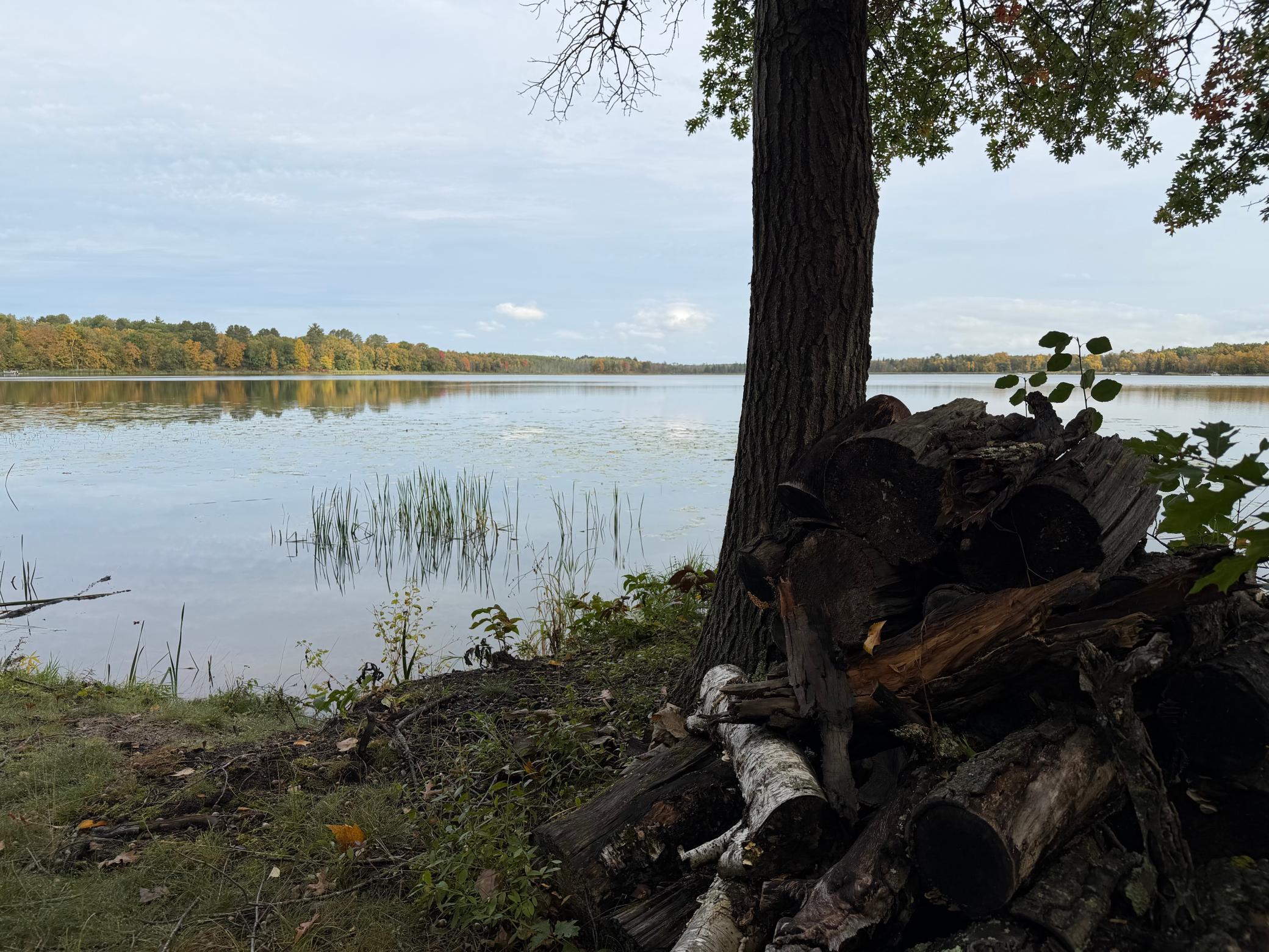 land for sale at 4558 Angelas Drive in Pine River, MN (photo 30 of 88)