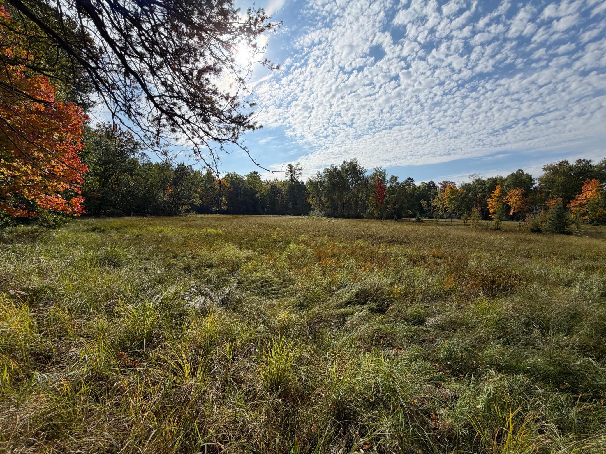 land for sale at 4558 Angelas Drive in Pine River, MN (photo 32 of 88)