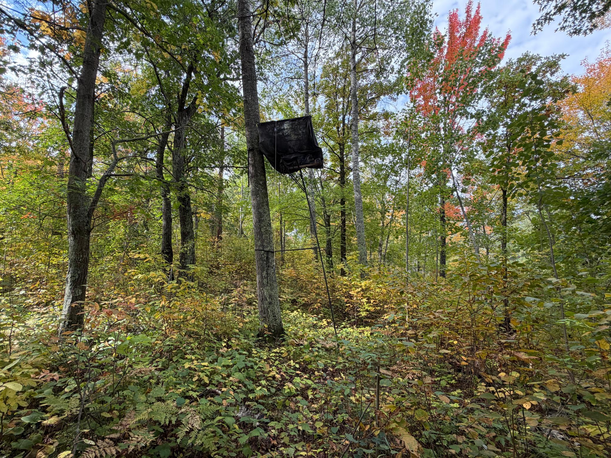 land for sale at 4558 Angelas Drive in Pine River, MN (photo 35 of 88)