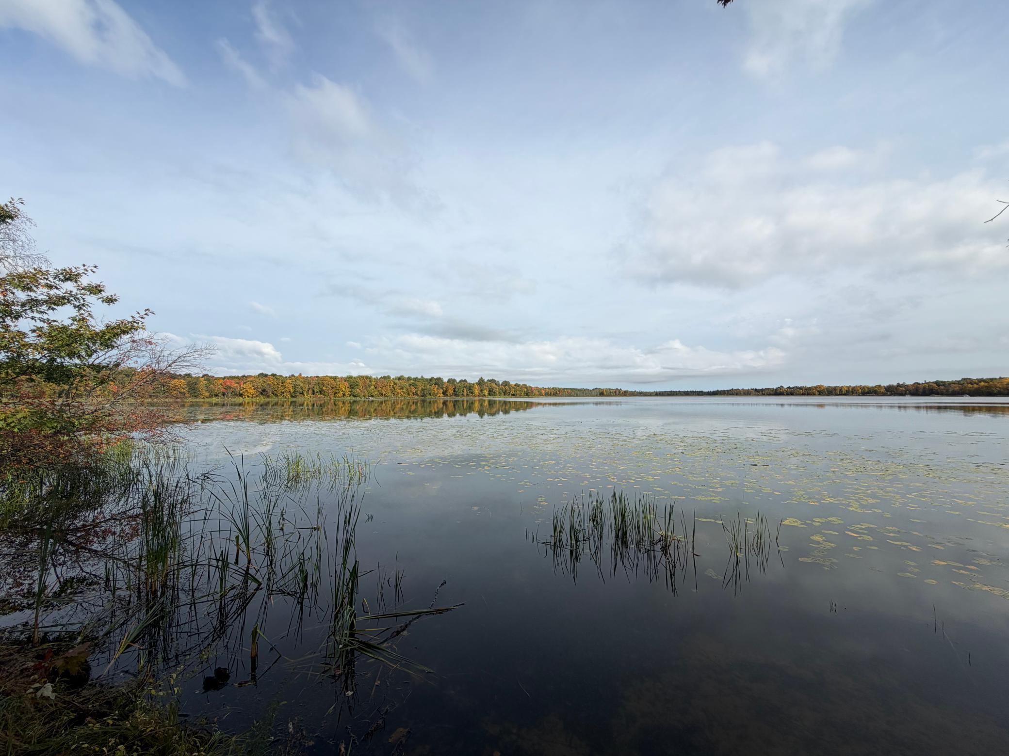 land for sale at 4558 Angelas Drive in Pine River, MN (photo 38 of 88)