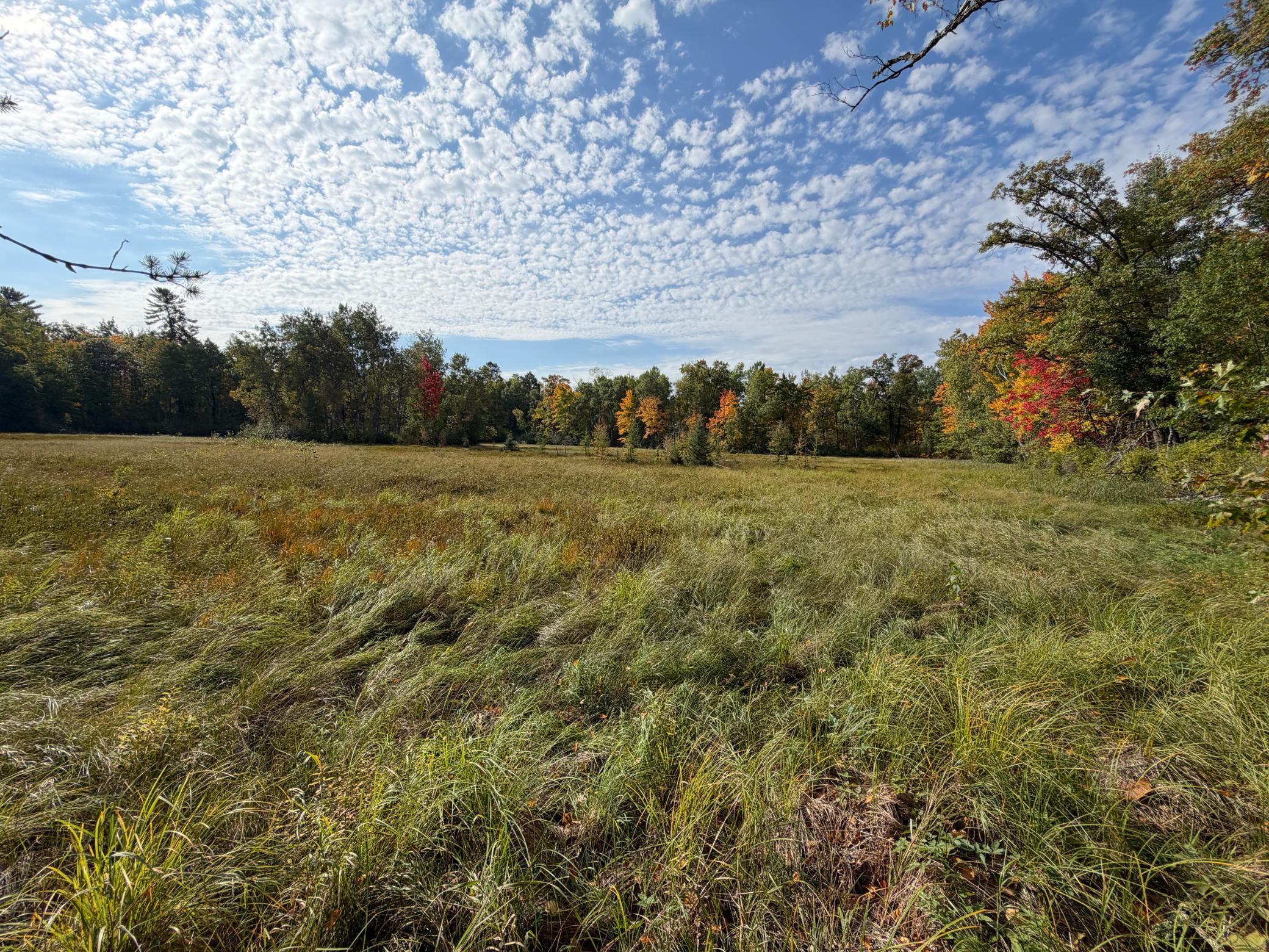 land for sale at 4558 Angelas Drive in Pine River, MN (photo 39 of 88)