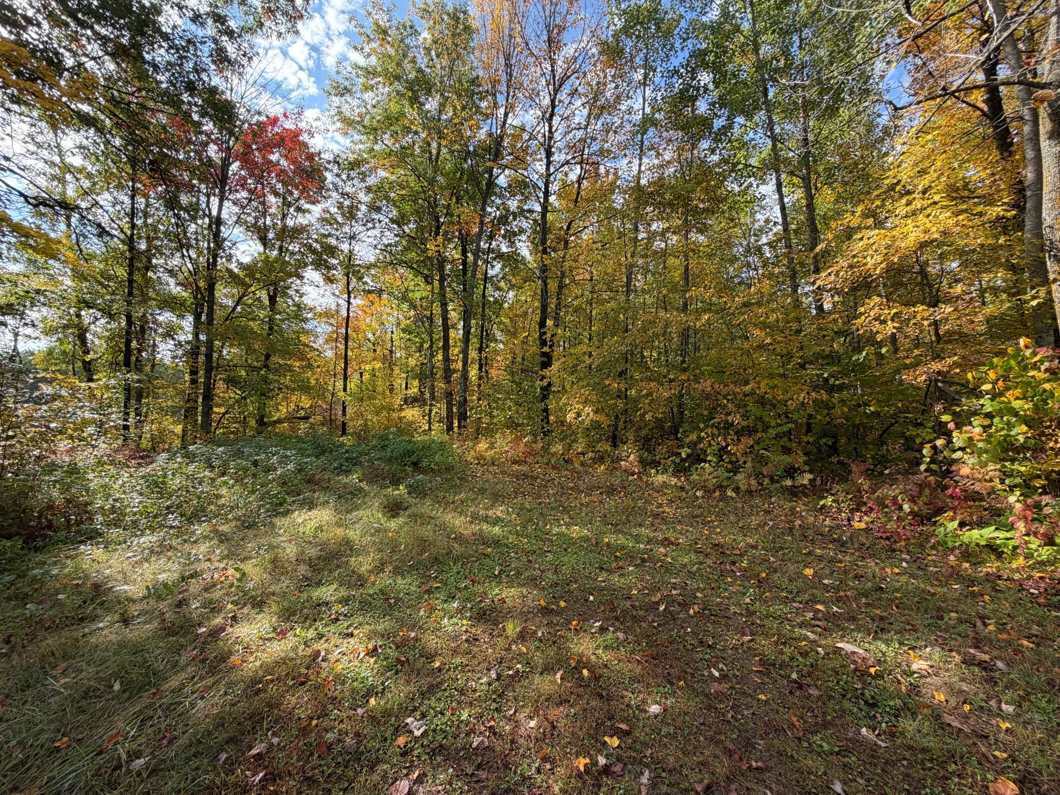 land for sale at 4558 Angelas Drive in Pine River, MN (photo 40 of 88)