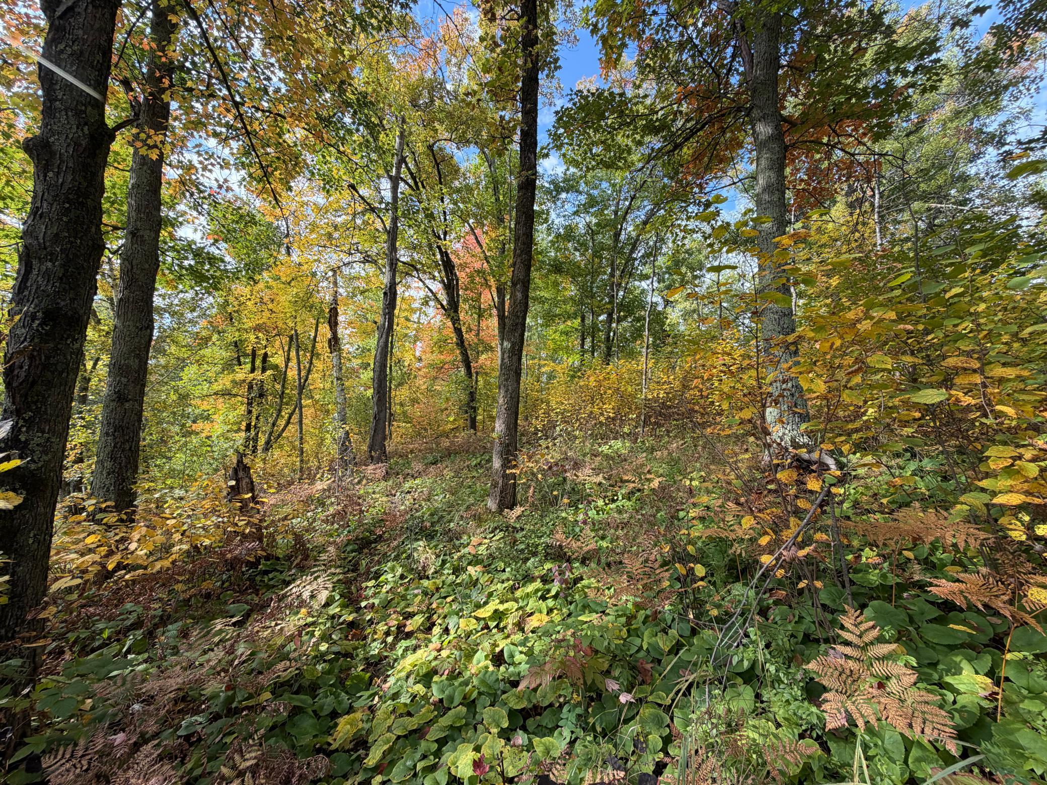 land for sale at 4558 Angelas Drive in Pine River, MN (photo 41 of 88)