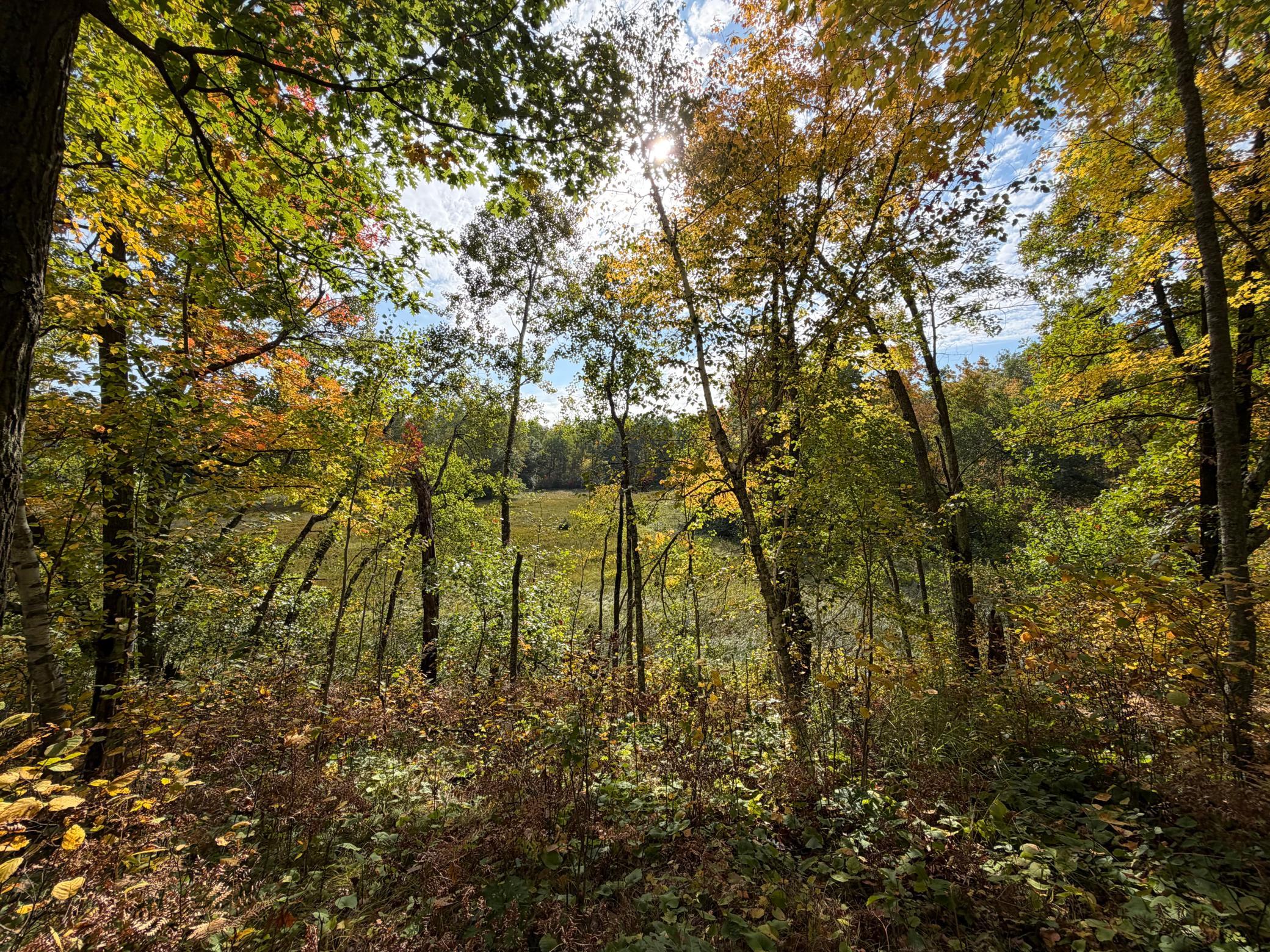 land for sale at 4558 Angelas Drive in Pine River, MN (photo 43 of 88)