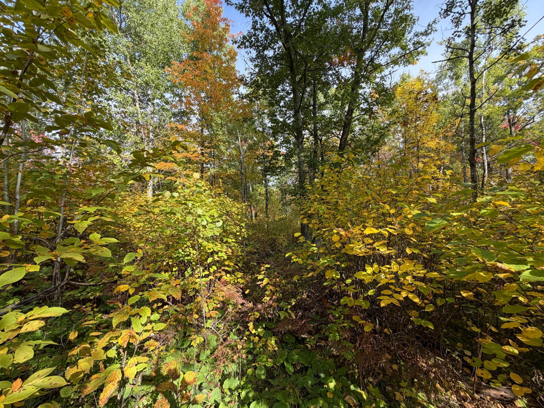 land for sale at 4558 Angelas Drive in Pine River, MN (photo 44 of 88)