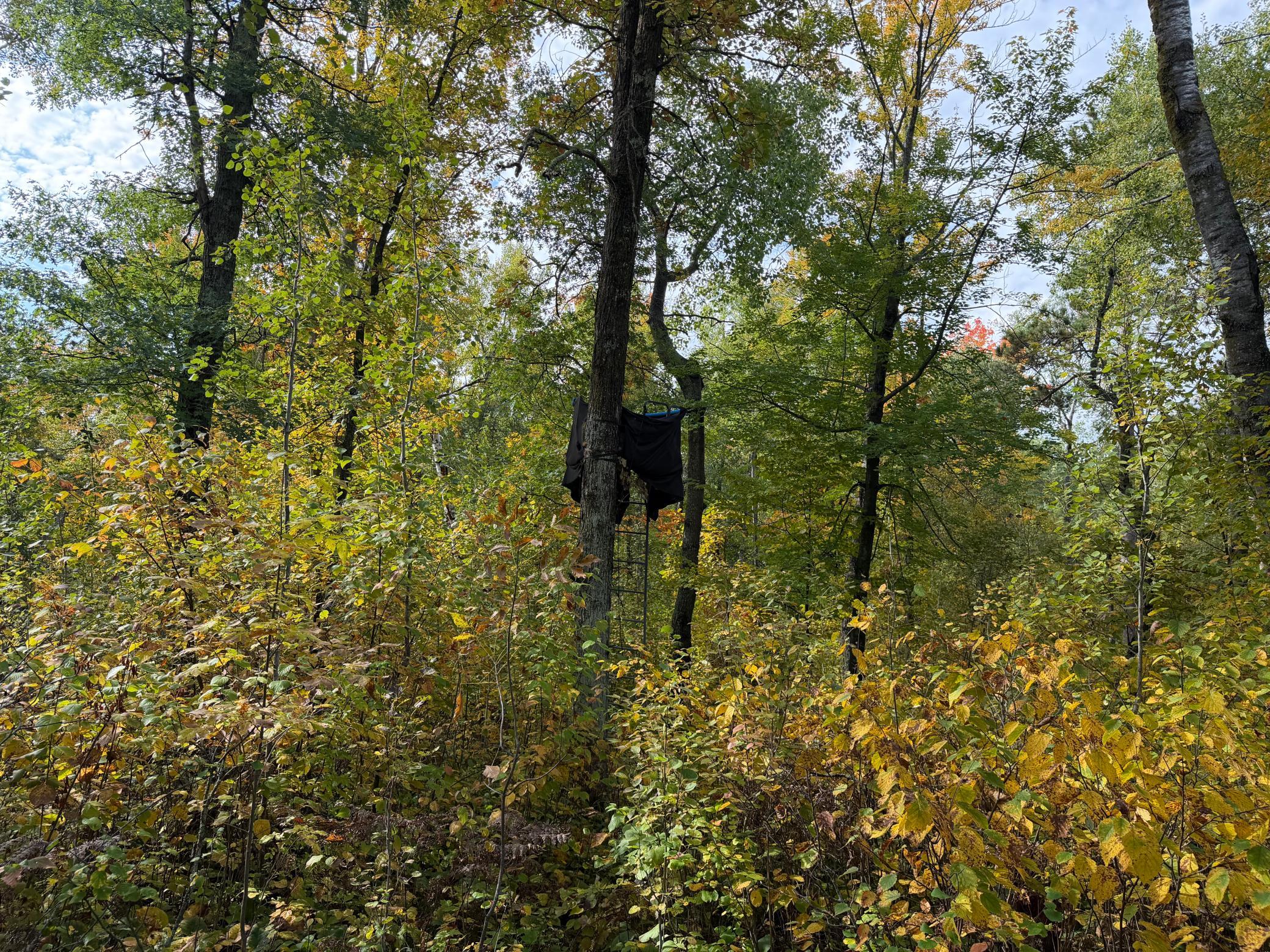 land for sale at 4558 Angelas Drive in Pine River, MN (photo 47 of 88)