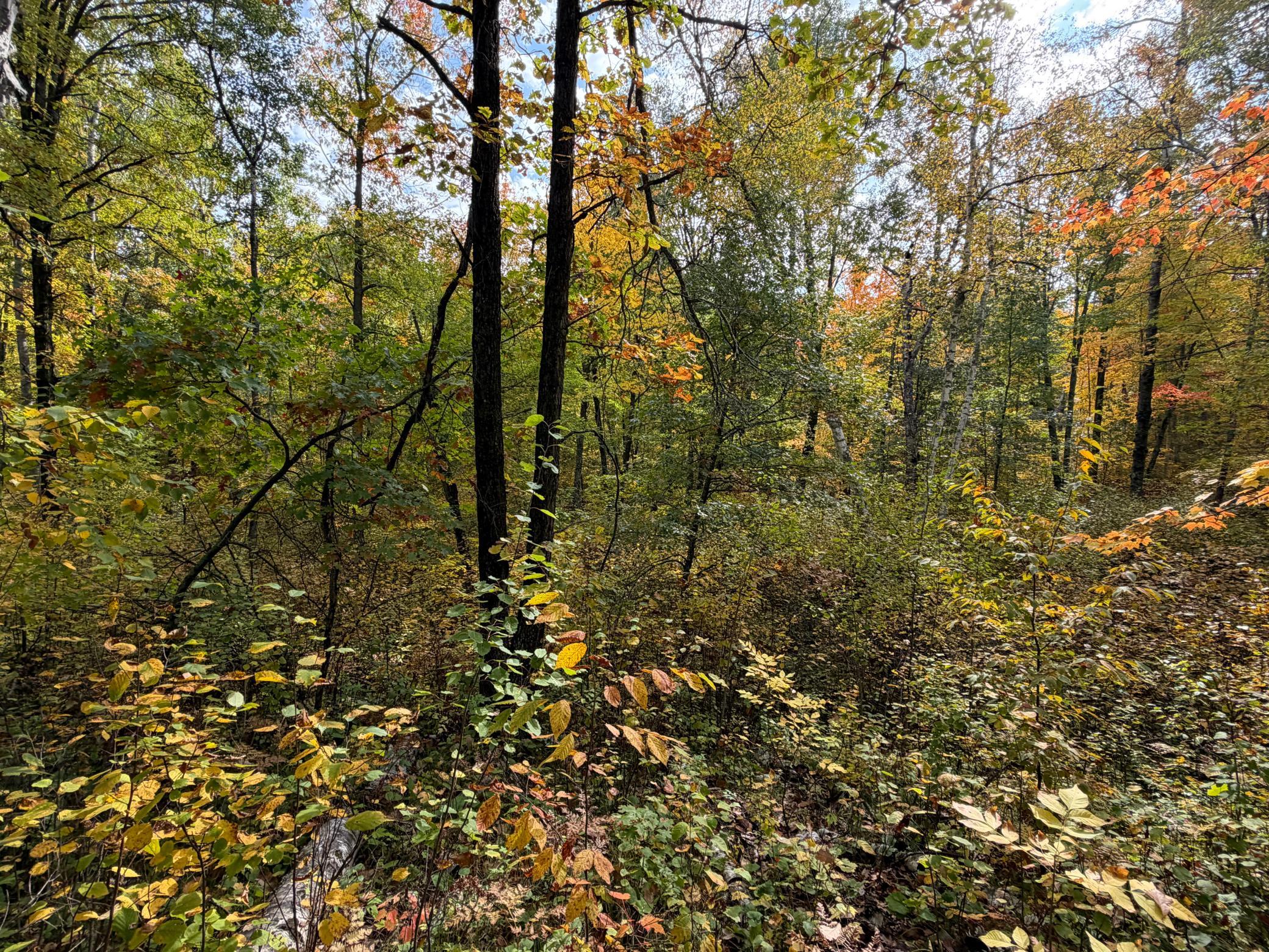 land for sale at 4558 Angelas Drive in Pine River, MN (photo 57 of 88)