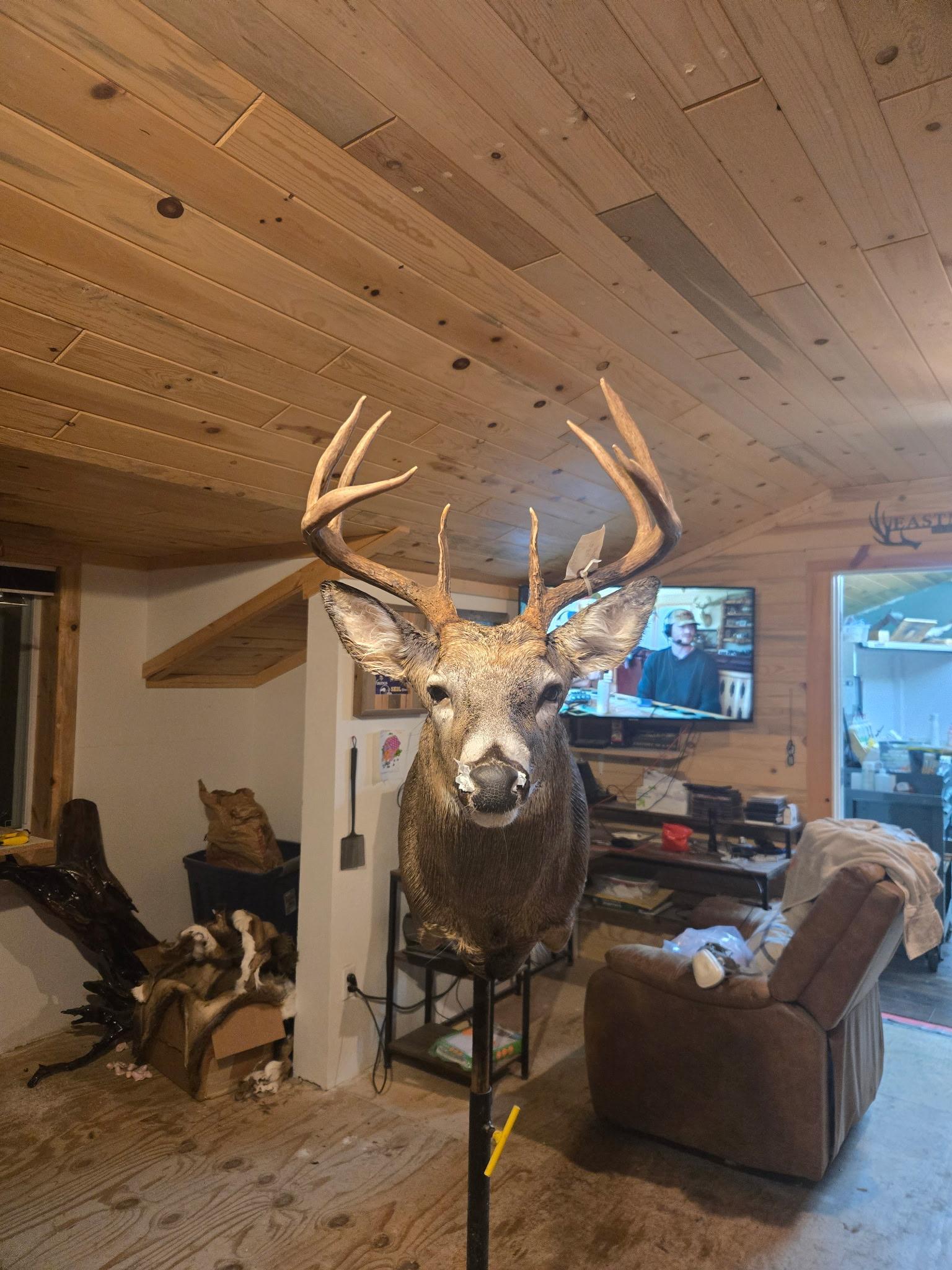 land for sale at 4558 Angelas Drive in Pine River, MN (photo 7 of 88)