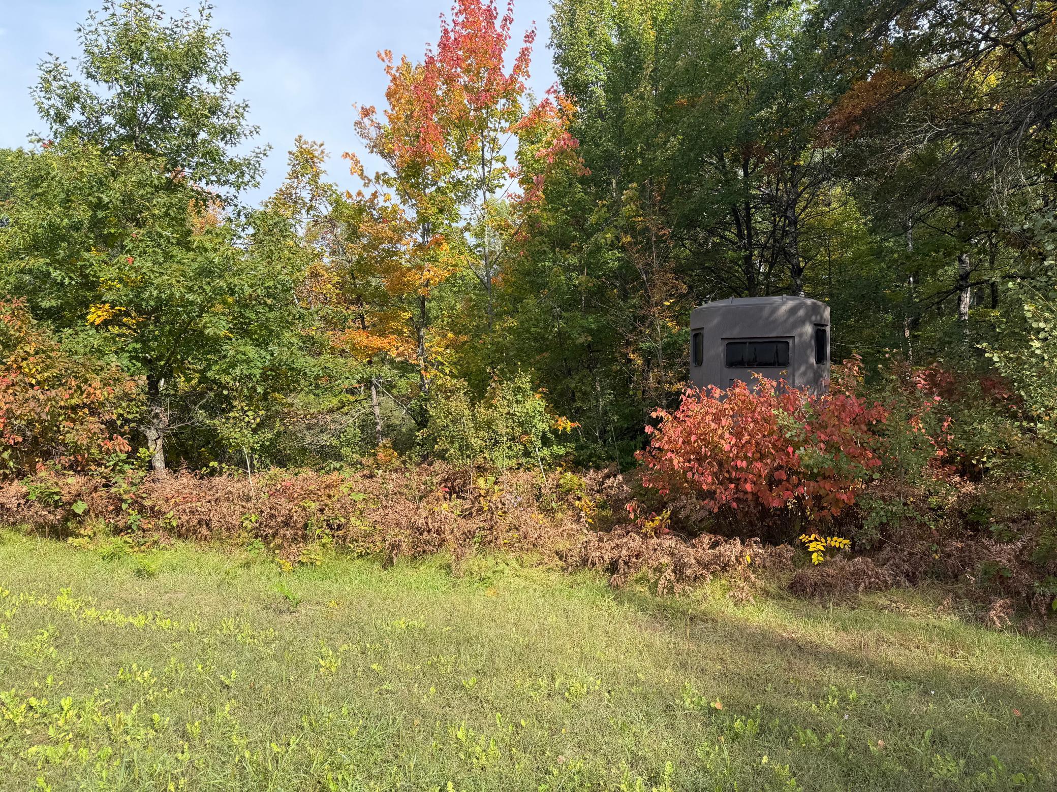 land for sale at 4558 Angelas Drive in Pine River, MN (photo 8 of 88)