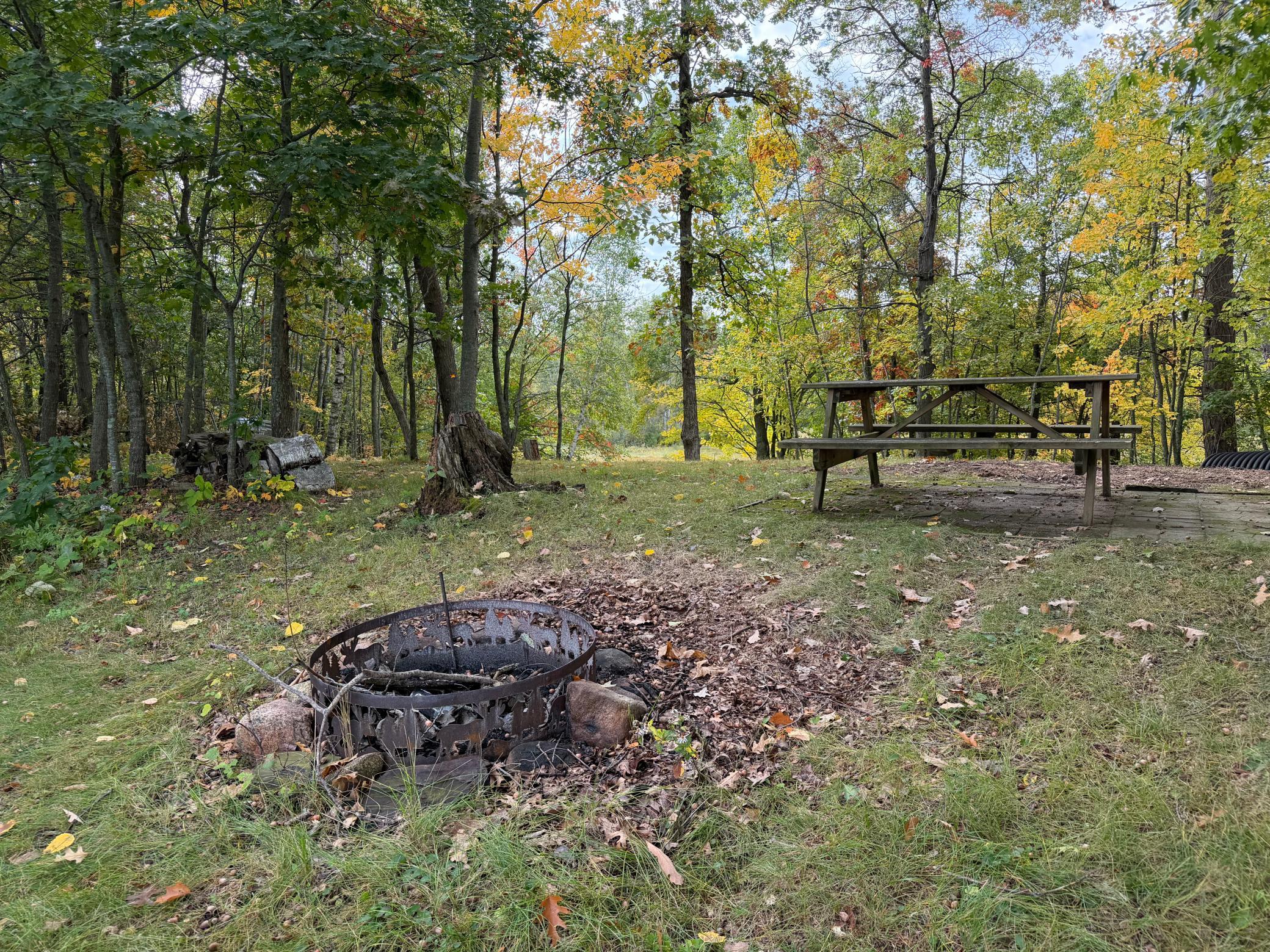 land for sale at 4558 Angelas Drive in Pine River, MN (photo 73 of 88)