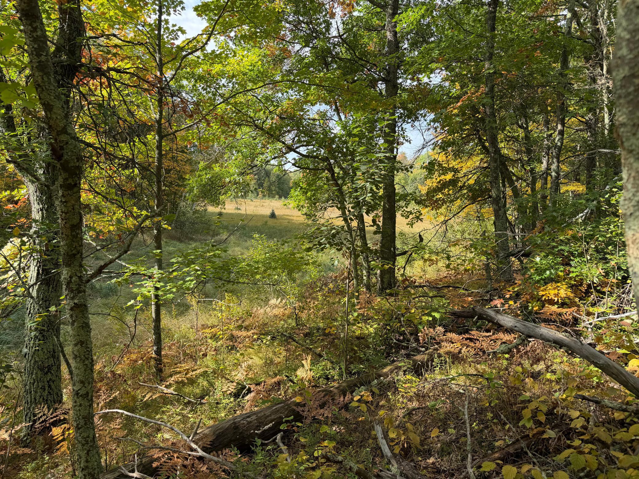 land for sale at 4558 Angelas Drive in Pine River, MN (photo 82 of 88)