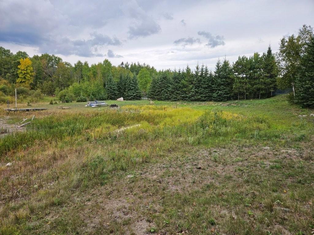 land for sale at 17841 Big Hill Road in Bagley, MN (photo 21 of 26)