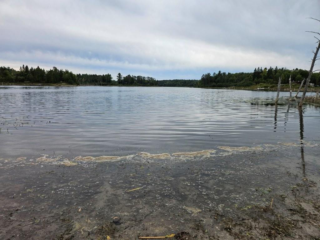 land for sale at 17841 Big Hill Road in Bagley, MN (photo 25 of 26)