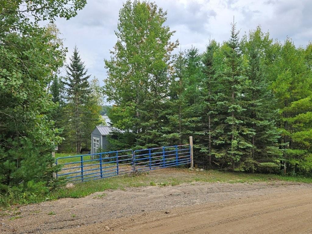 land for sale at 17841 Big Hill Road in Bagley, MN (photo 8 of 26)