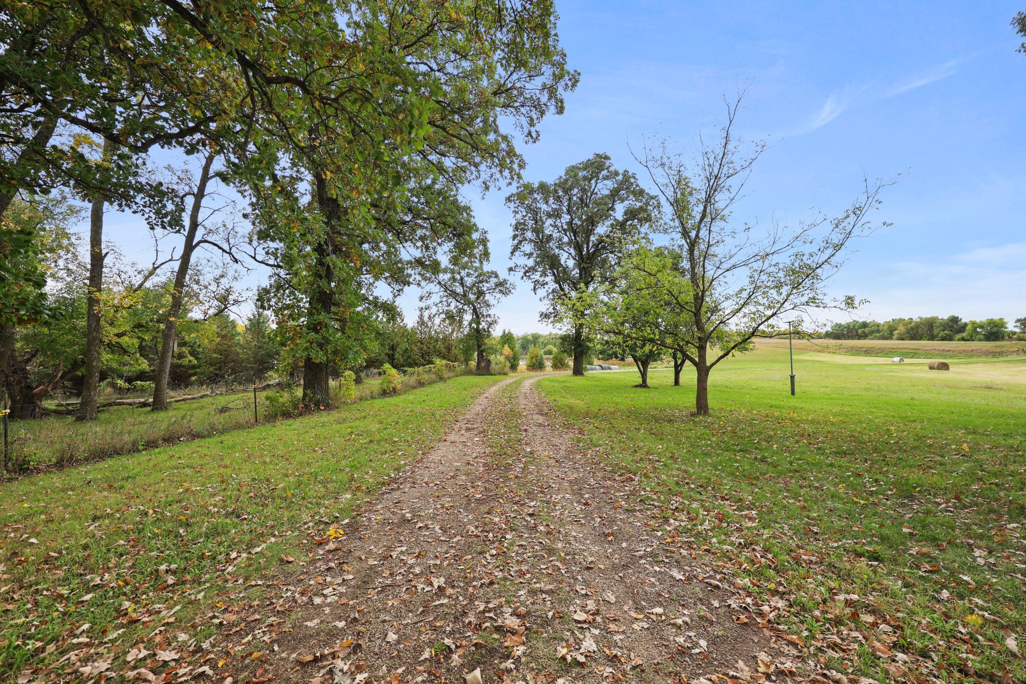1972 single family home for sale at 3653 County Road 7 SW in Kensington, MN — 3 bed, 2 bath (photo 53 of 76)