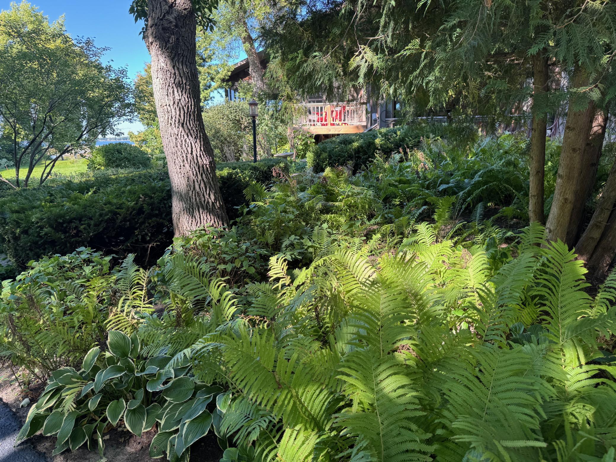 1998 single family home for sale at 507 E Front Street in Battle Lake, MN — 5 bed, 3 bath (photo 47 of 97)