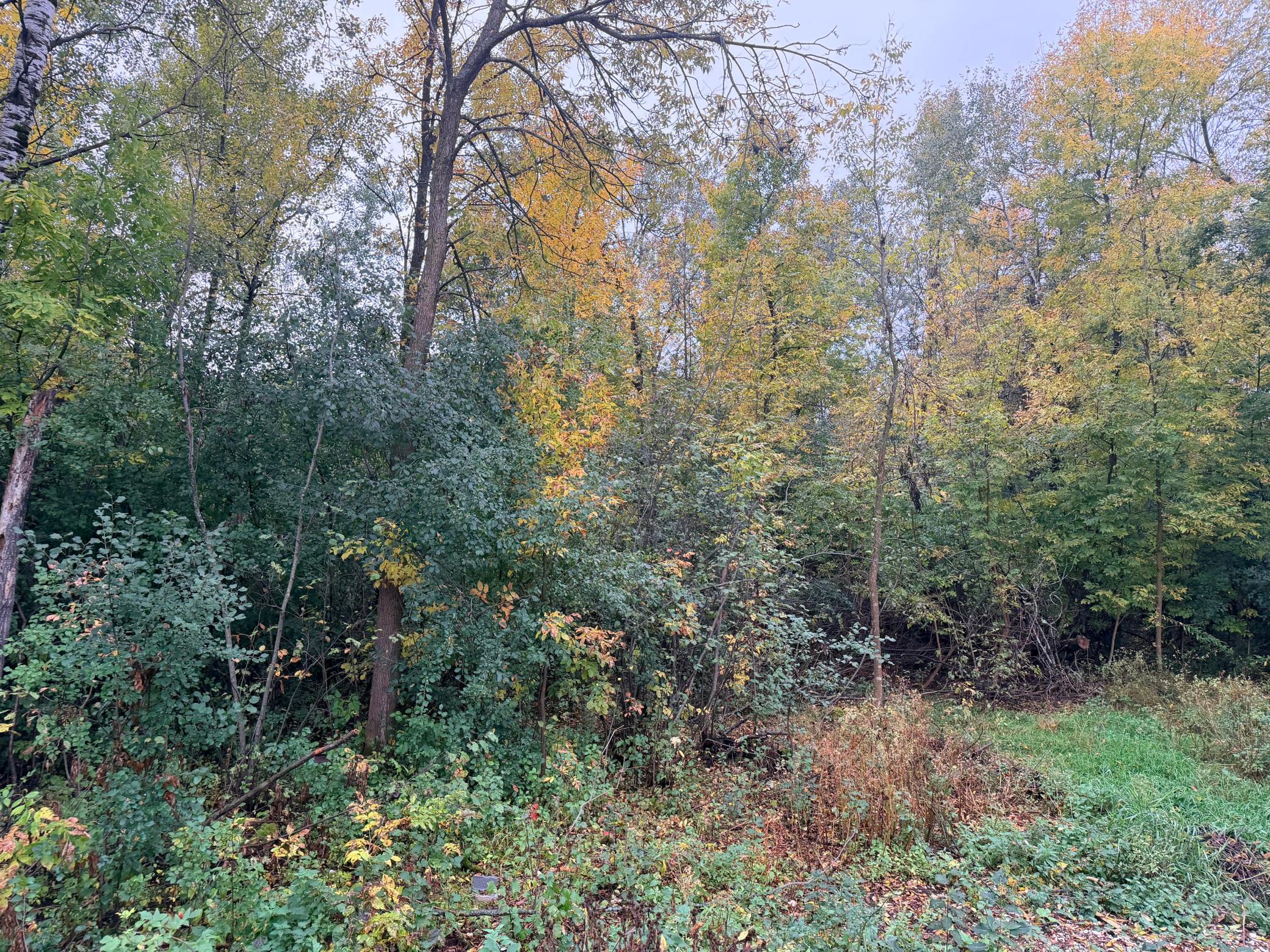 1977 single family home for sale at 110 28th Street E in Brainerd, MN — 3 bed, 2 bath (photo 13 of 16)