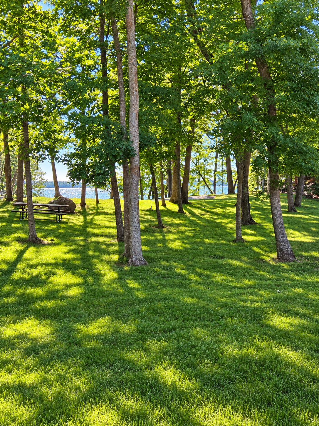 2010 single family home for sale at 44865 267th Avenue in Pelican Rapids, MN — 2 bed, 2 bath (photo 31 of 35)