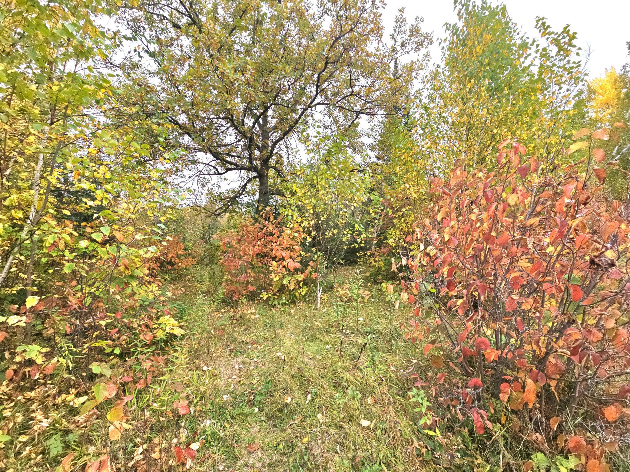 land for sale at TBD 170th Lane in Mc Grath, MN (photo 15 of 42)