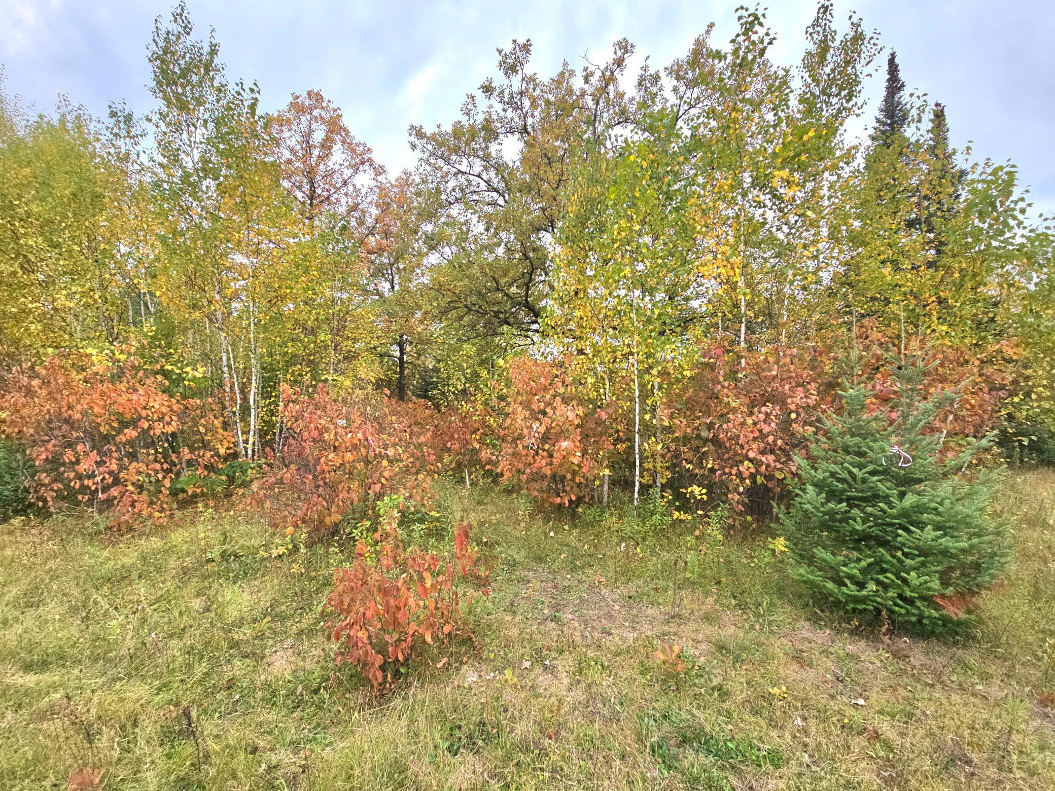 land for sale at TBD 170th Lane in Mc Grath, MN (photo 16 of 42)