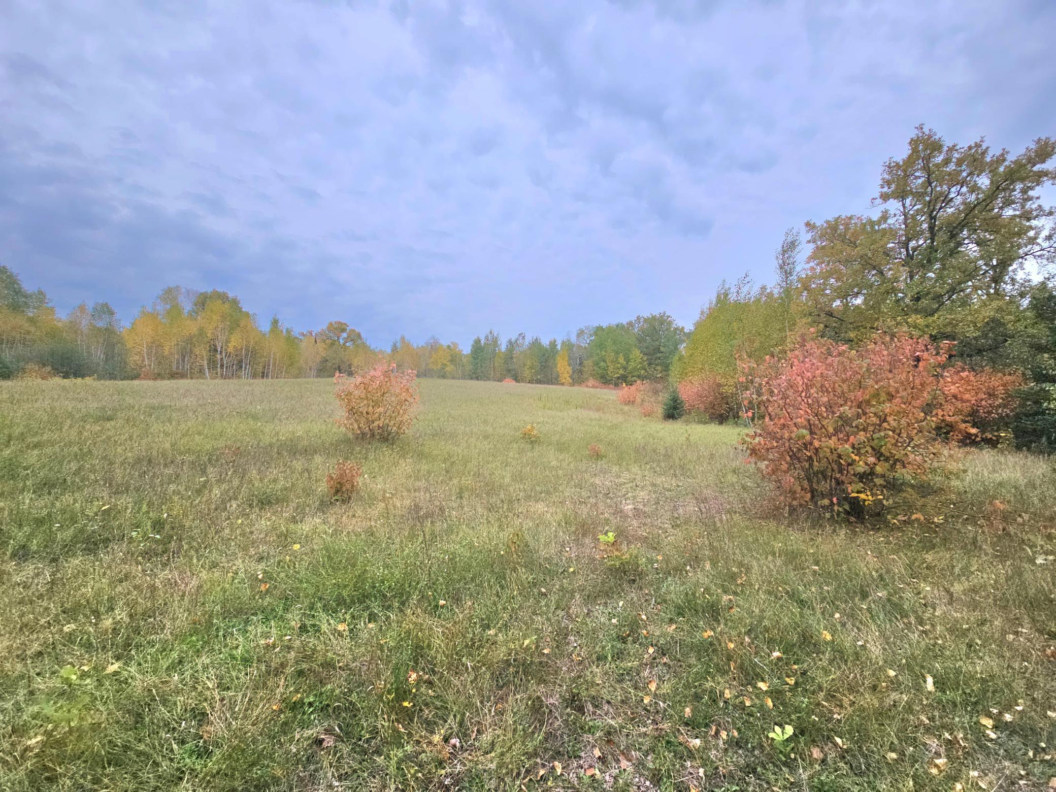 land for sale at TBD 170th Lane in Mc Grath, MN (photo 17 of 42)