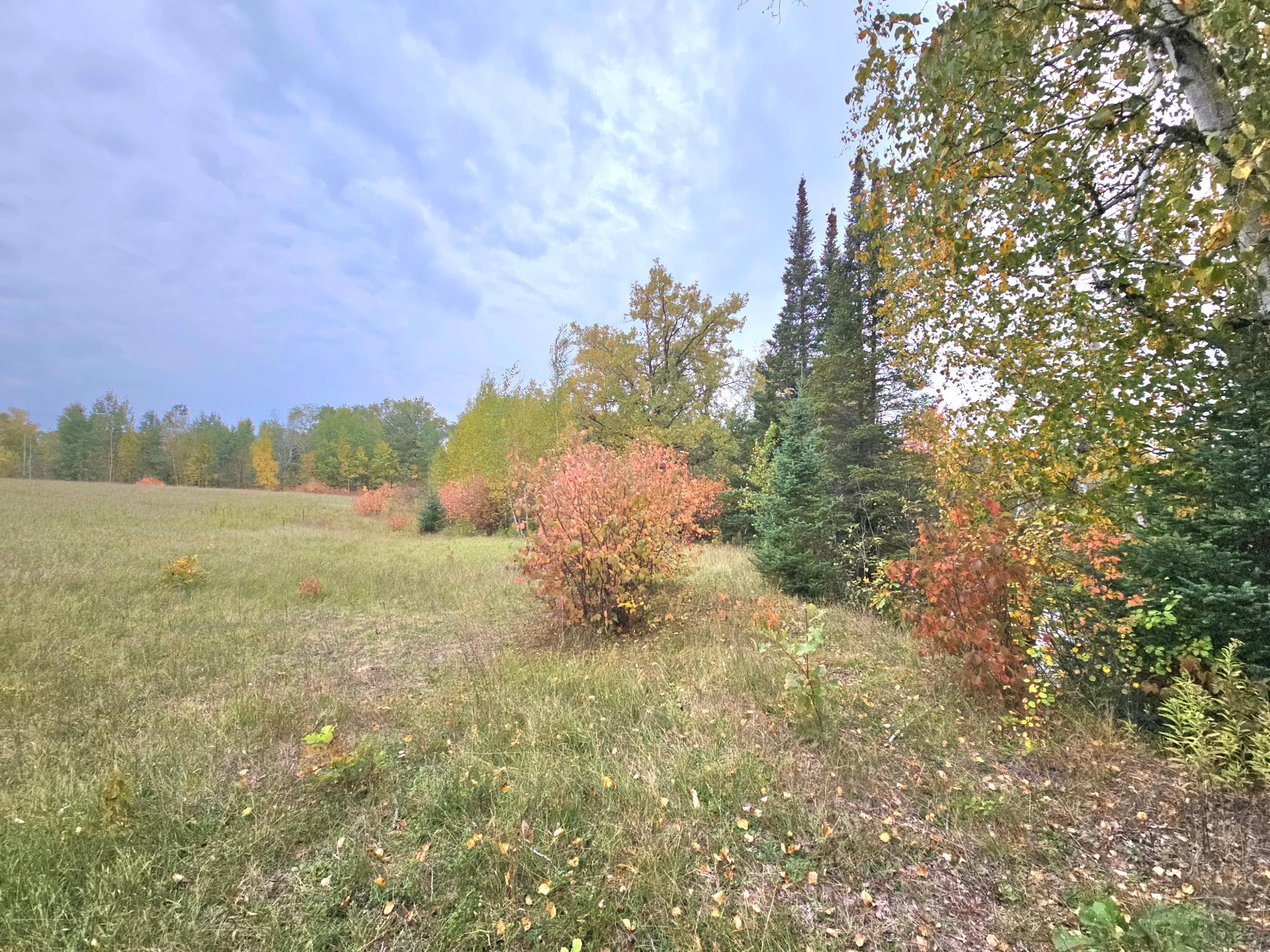 land for sale at TBD 170th Lane in Mc Grath, MN (photo 18 of 42)