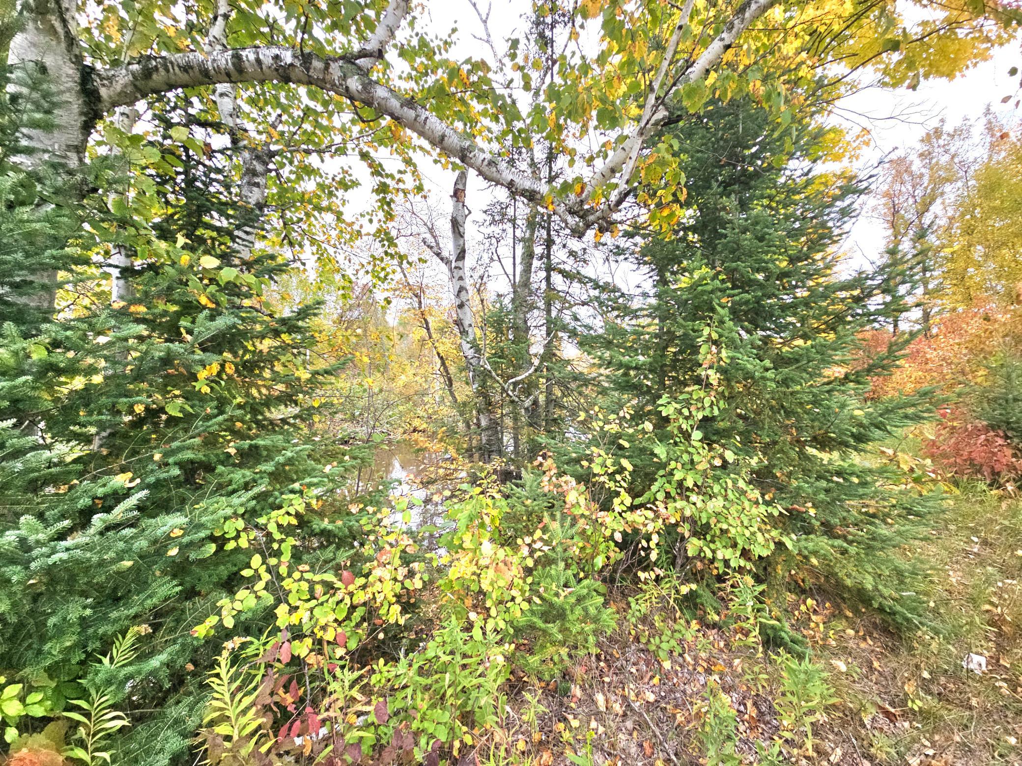 land for sale at TBD 170th Lane in Mc Grath, MN (photo 20 of 42)