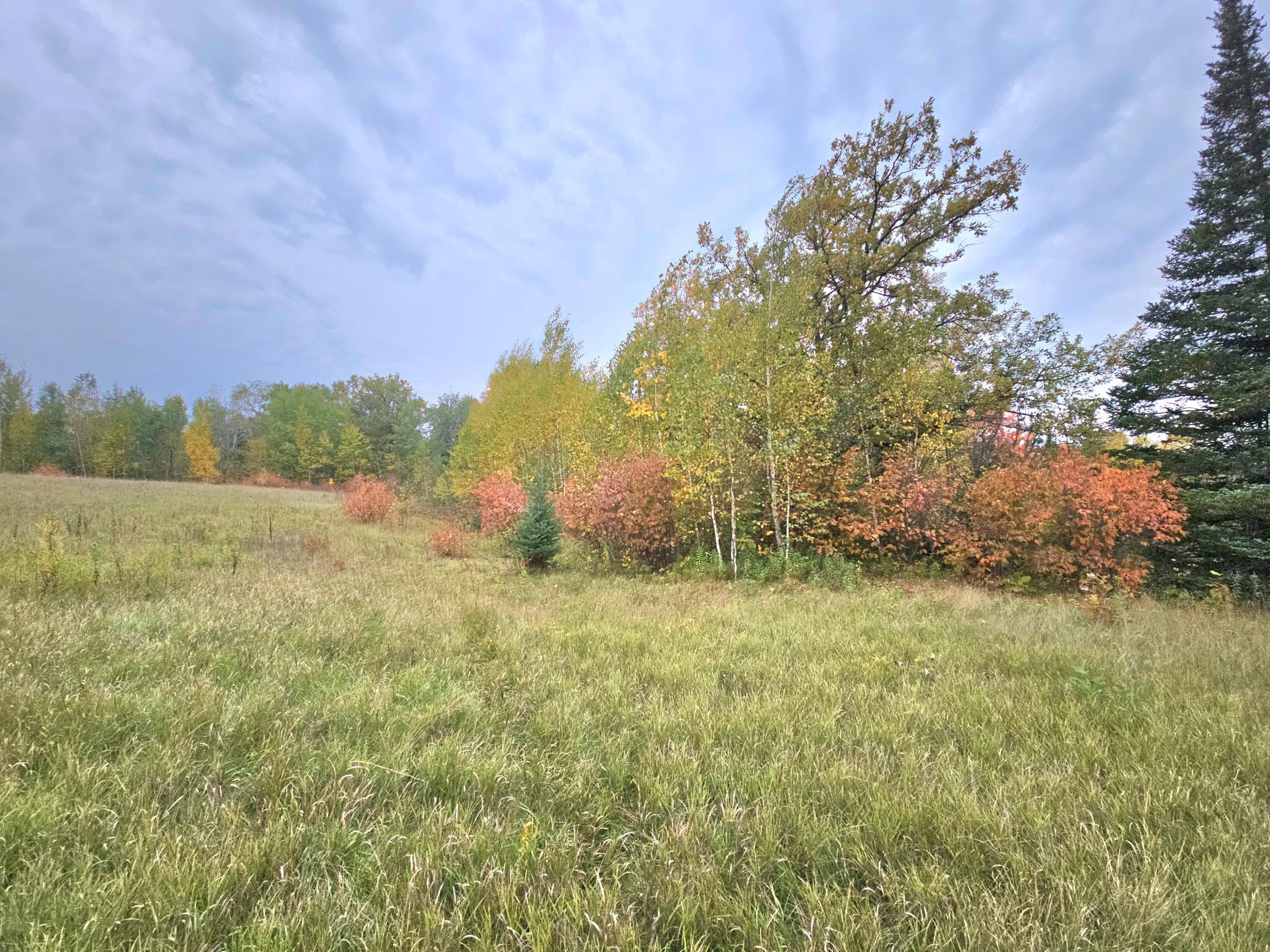 land for sale at TBD 170th Lane in Mc Grath, MN (photo 21 of 42)