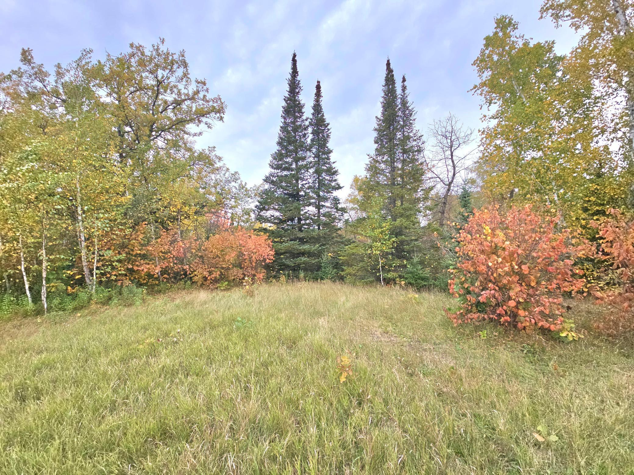 land for sale at TBD 170th Lane in Mc Grath, MN (photo 22 of 42)