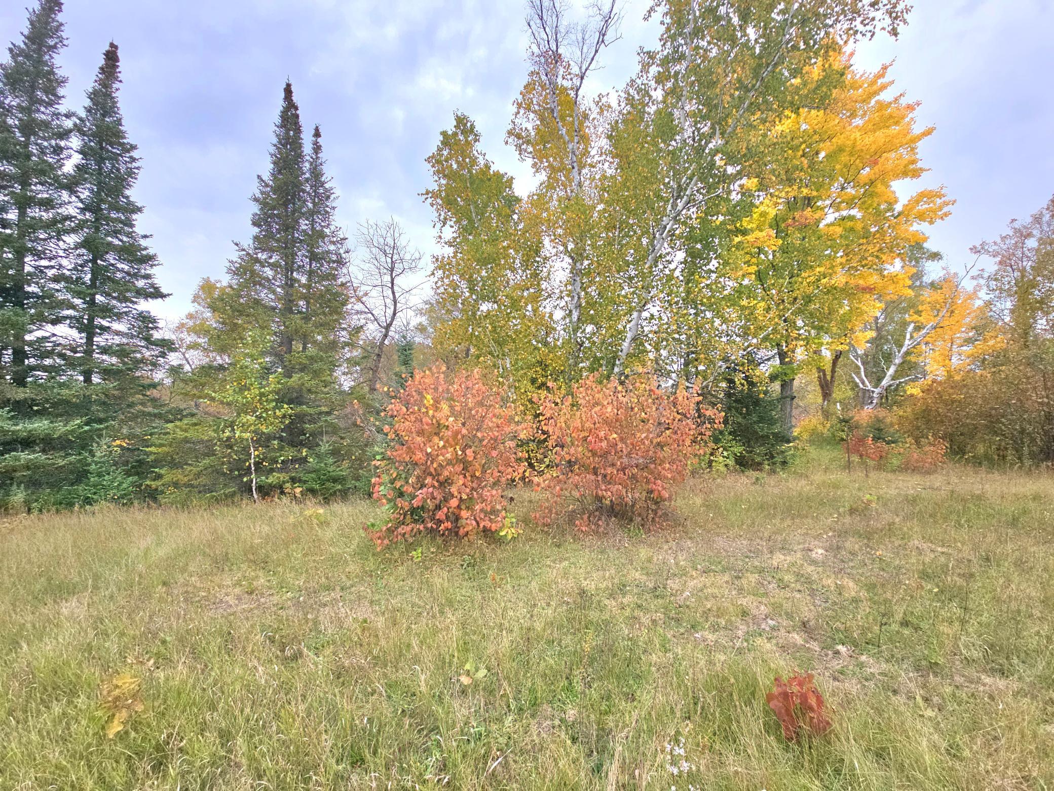 land for sale at TBD 170th Lane in Mc Grath, MN (photo 23 of 42)
