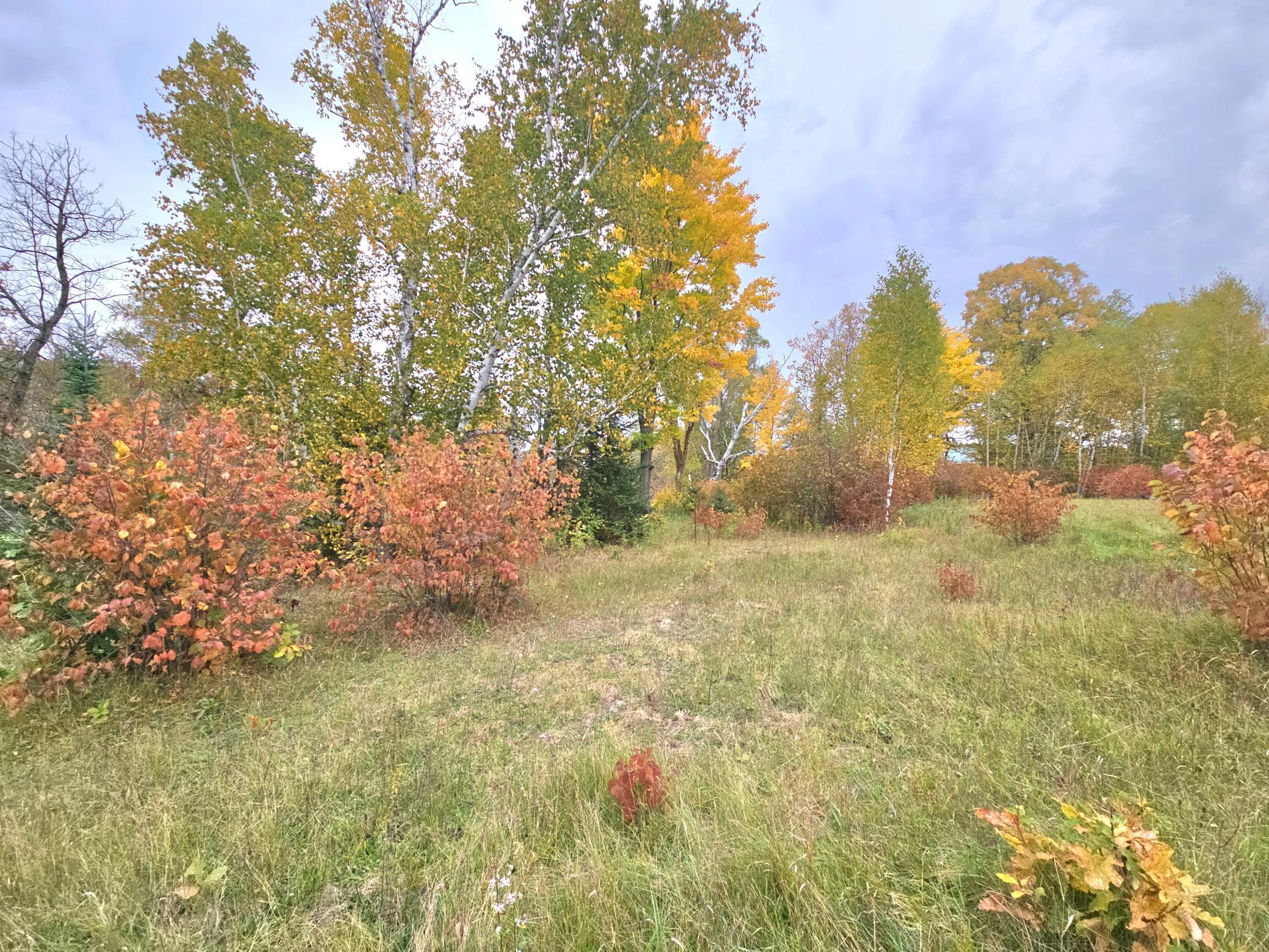 land for sale at TBD 170th Lane in Mc Grath, MN (photo 24 of 42)
