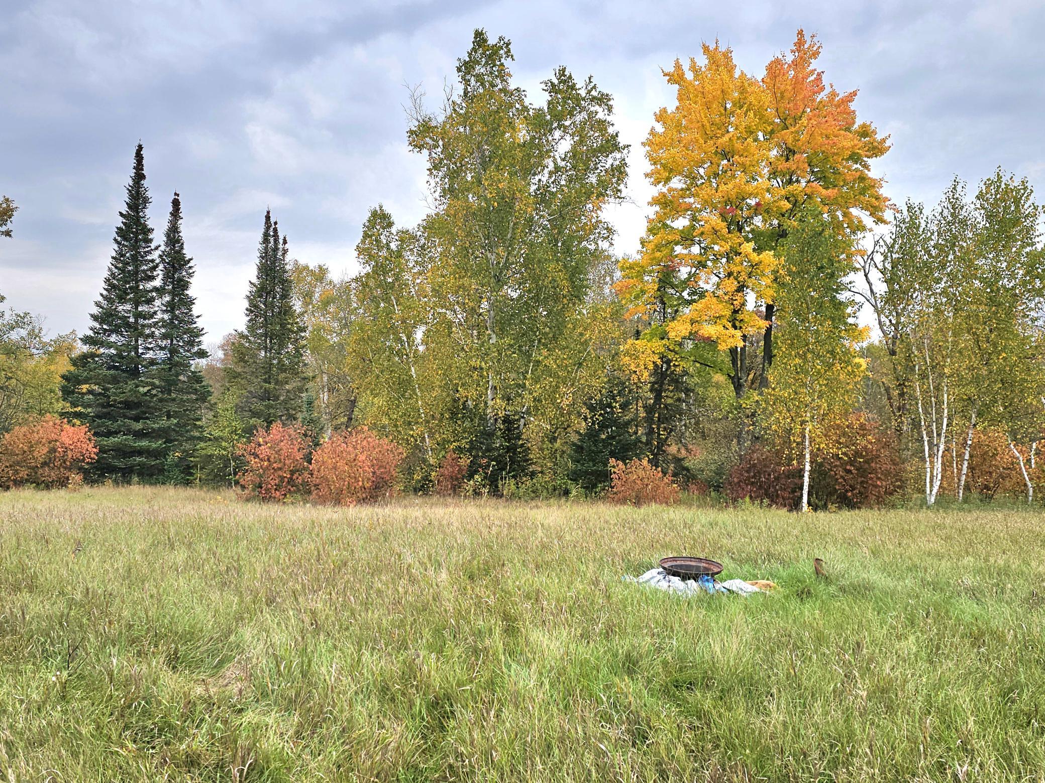 land for sale at TBD 170th Lane in Mc Grath, MN (photo 25 of 42)