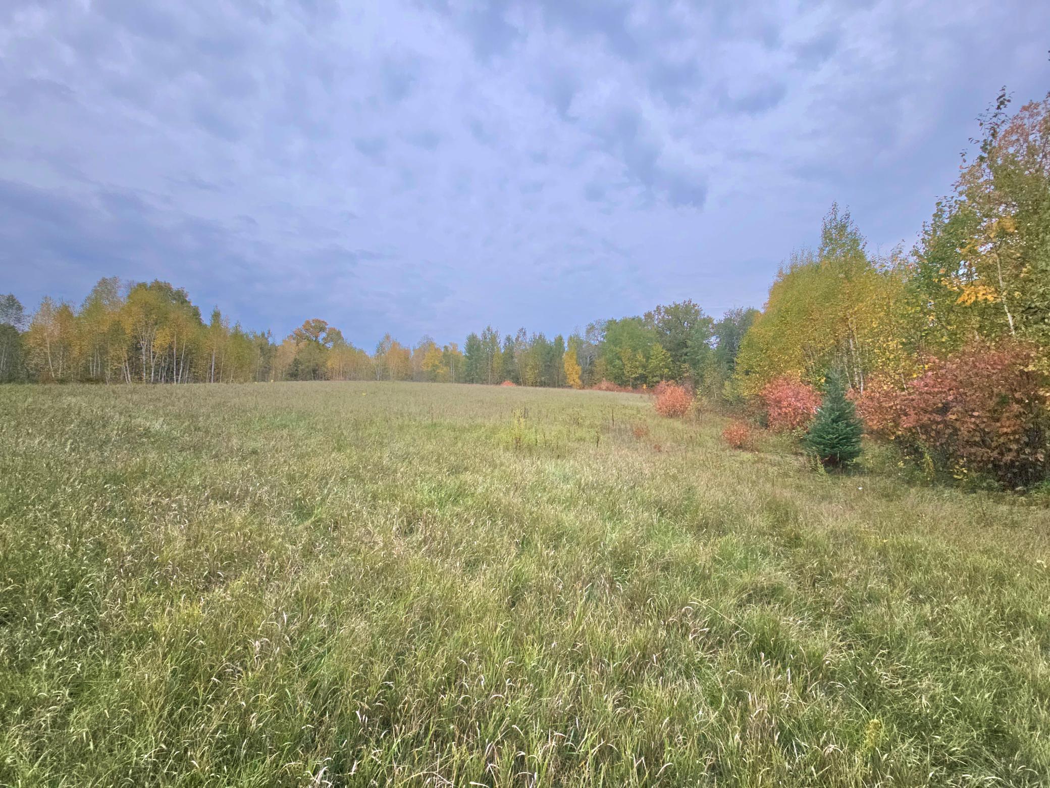 land for sale at TBD 170th Lane in Mc Grath, MN (photo 27 of 42)