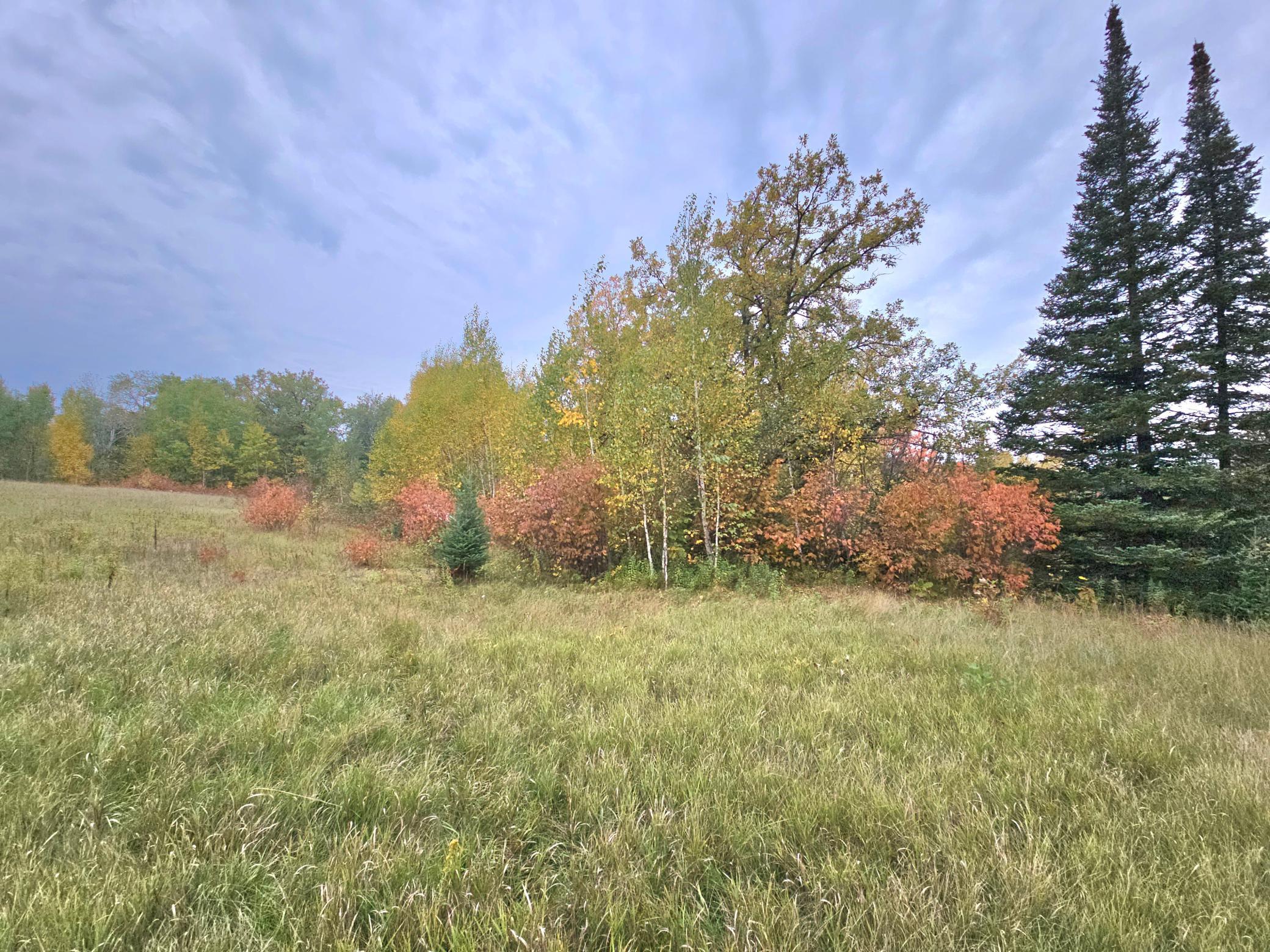 land for sale at TBD 170th Lane in Mc Grath, MN (photo 28 of 42)