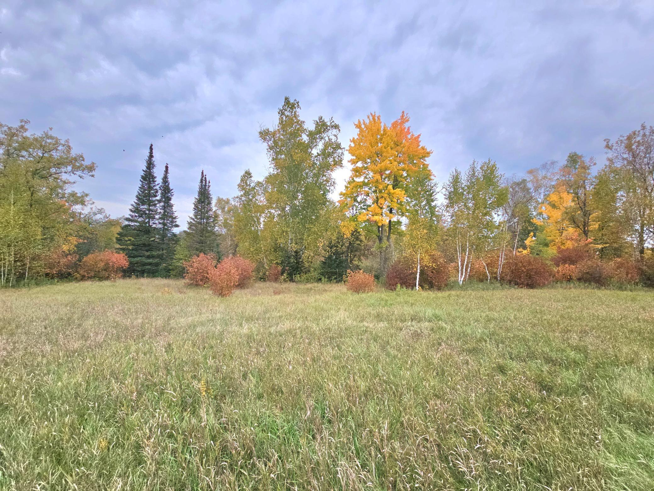 land for sale at TBD 170th Lane in Mc Grath, MN (photo 29 of 42)