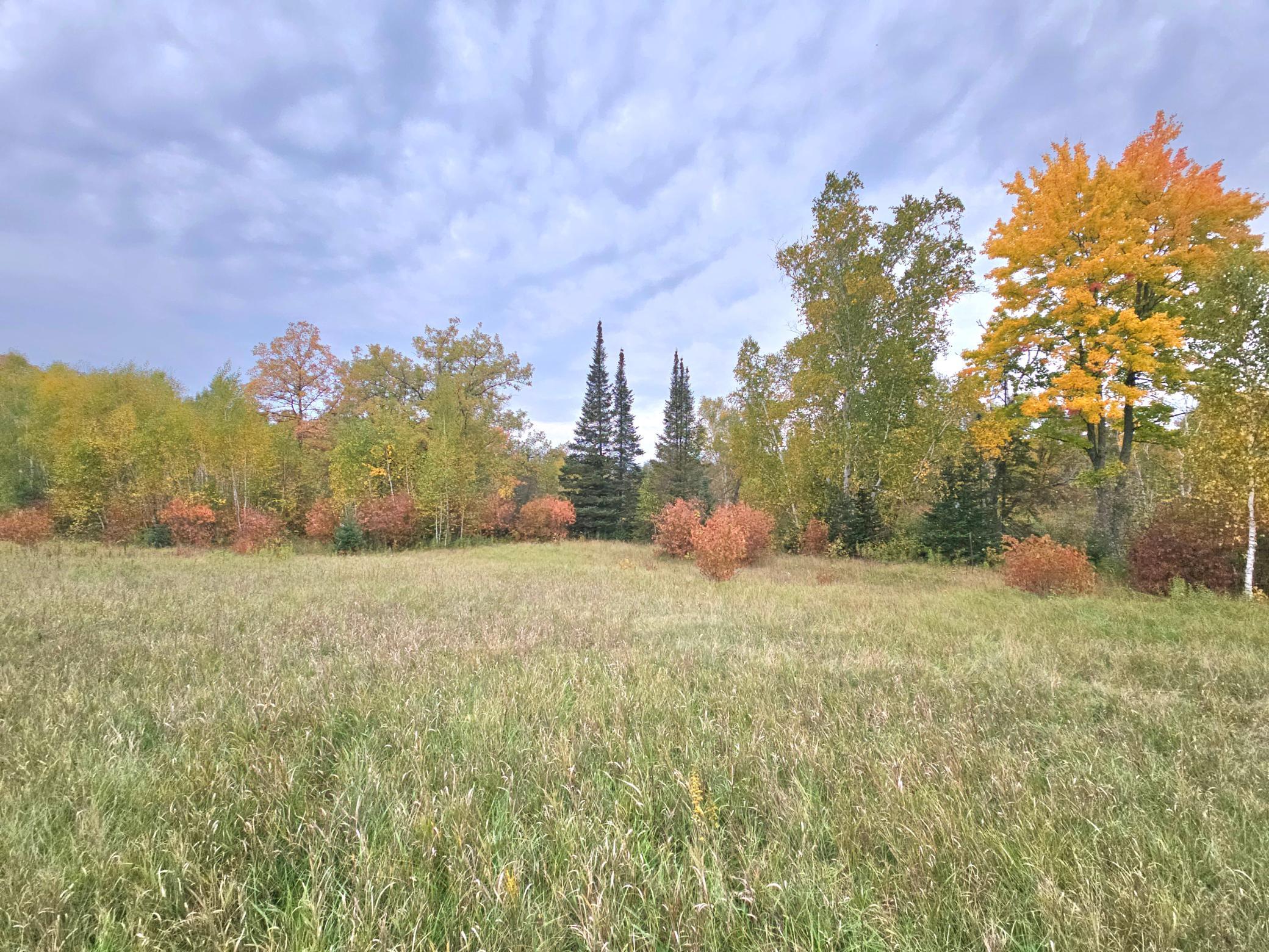 land for sale at TBD 170th Lane in Mc Grath, MN (photo 30 of 42)