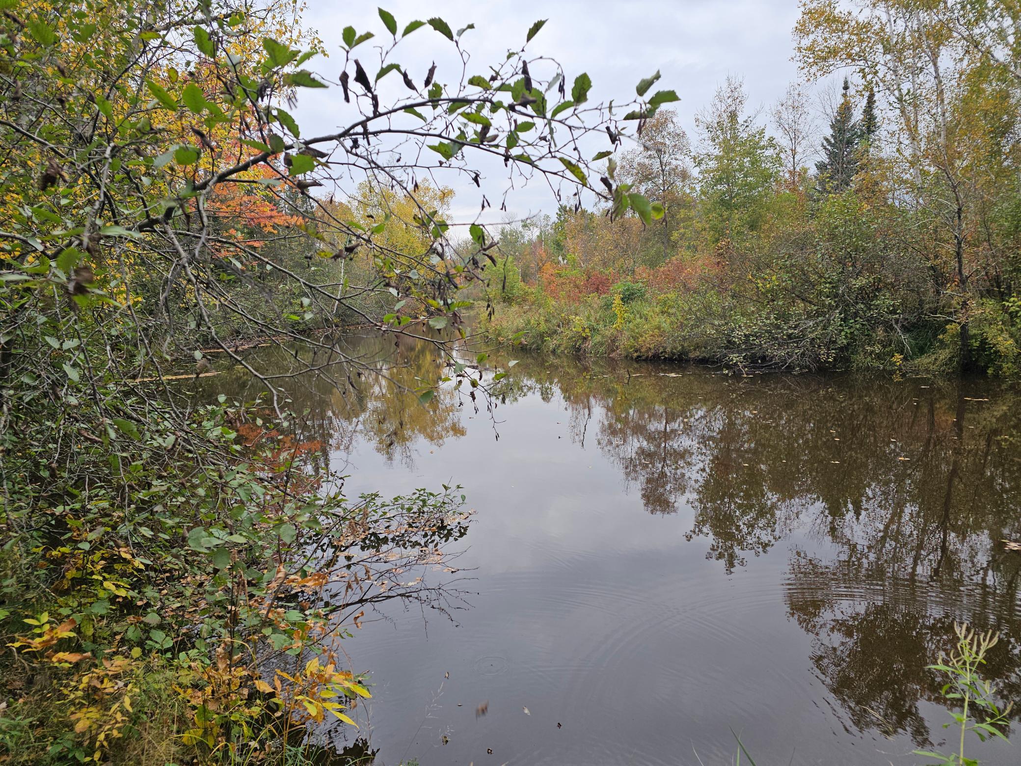 land for sale at TBD 170th Lane in Mc Grath, MN (photo 4 of 42)