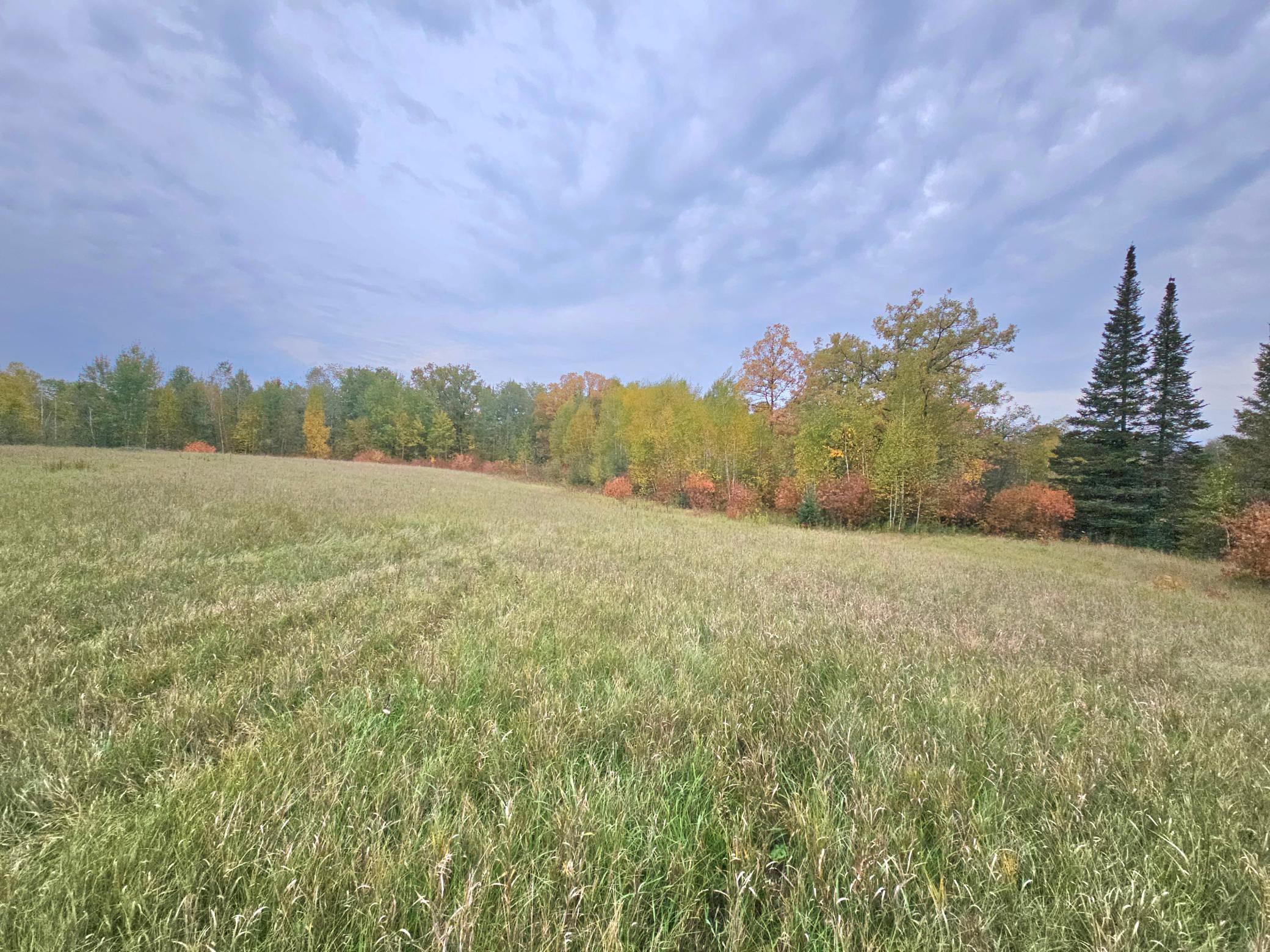 land for sale at TBD 170th Lane in Mc Grath, MN (photo 31 of 42)