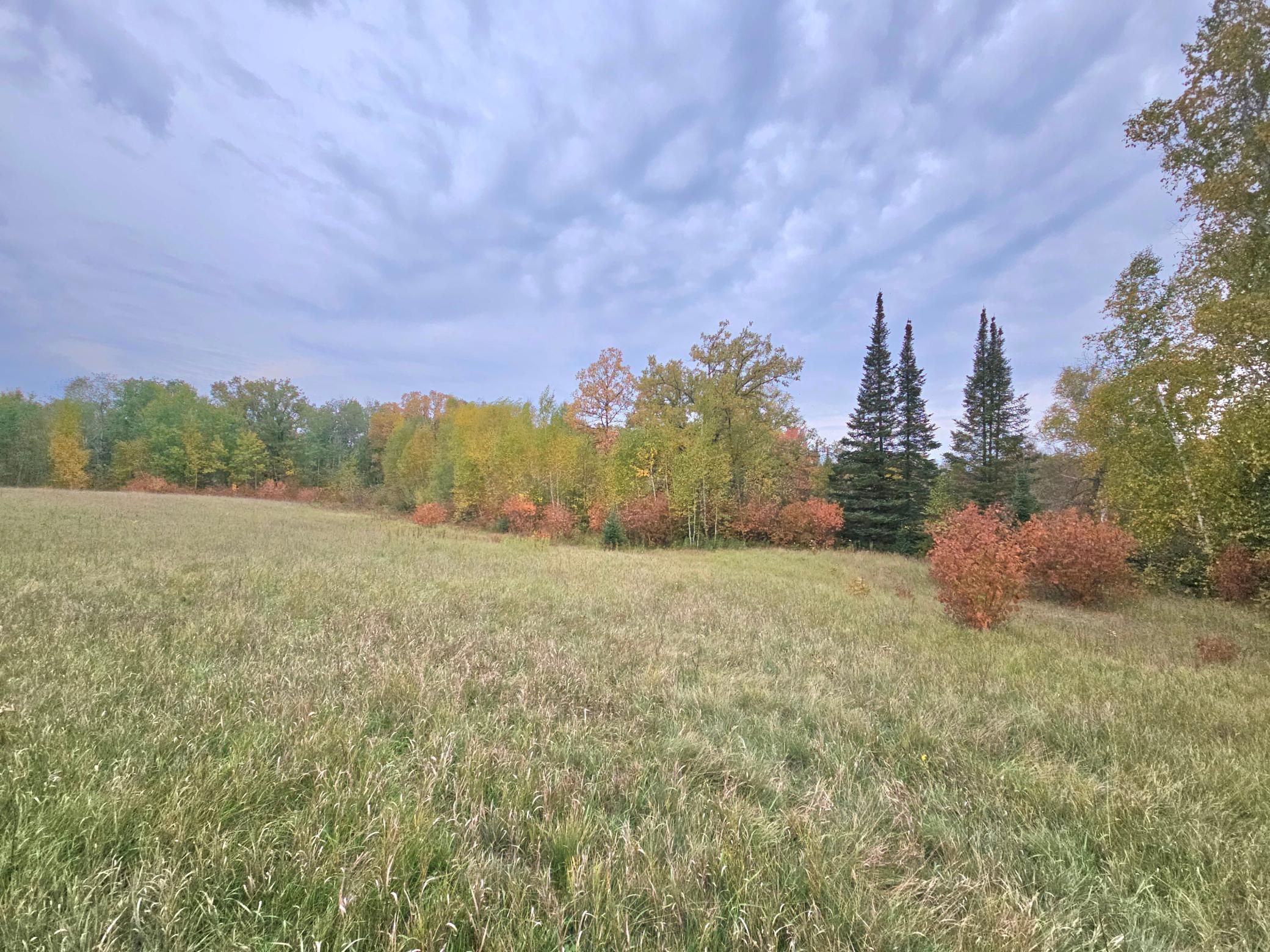 land for sale at TBD 170th Lane in Mc Grath, MN (photo 32 of 42)