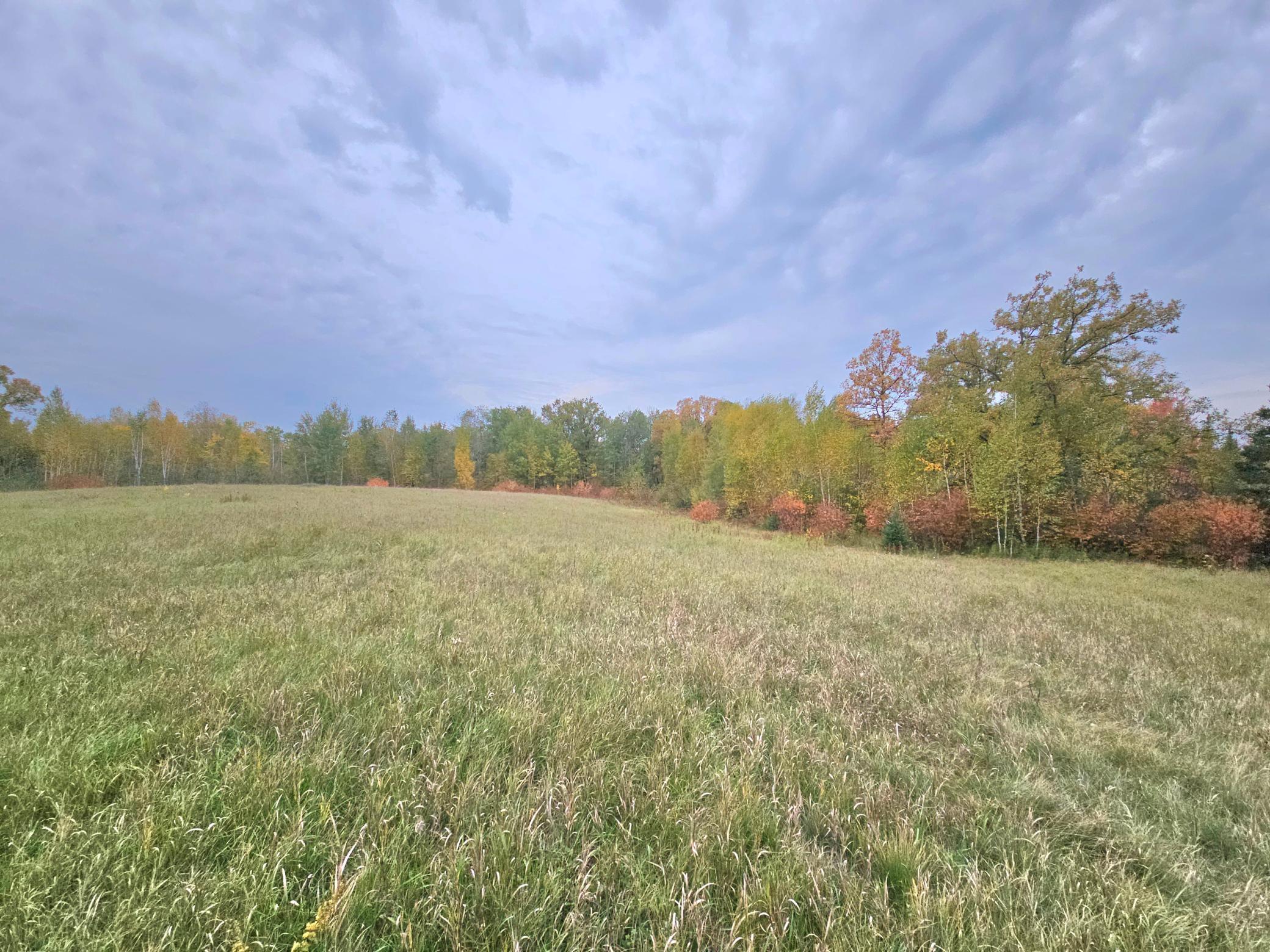 land for sale at TBD 170th Lane in Mc Grath, MN (photo 33 of 42)