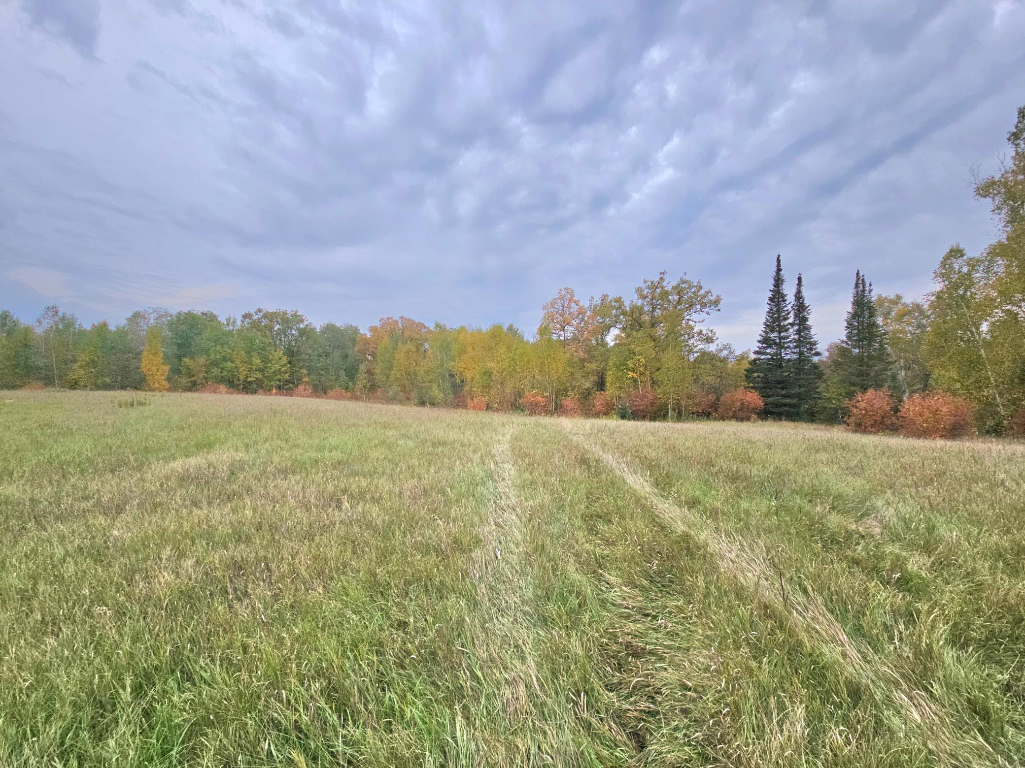 land for sale at TBD 170th Lane in Mc Grath, MN (photo 35 of 42)