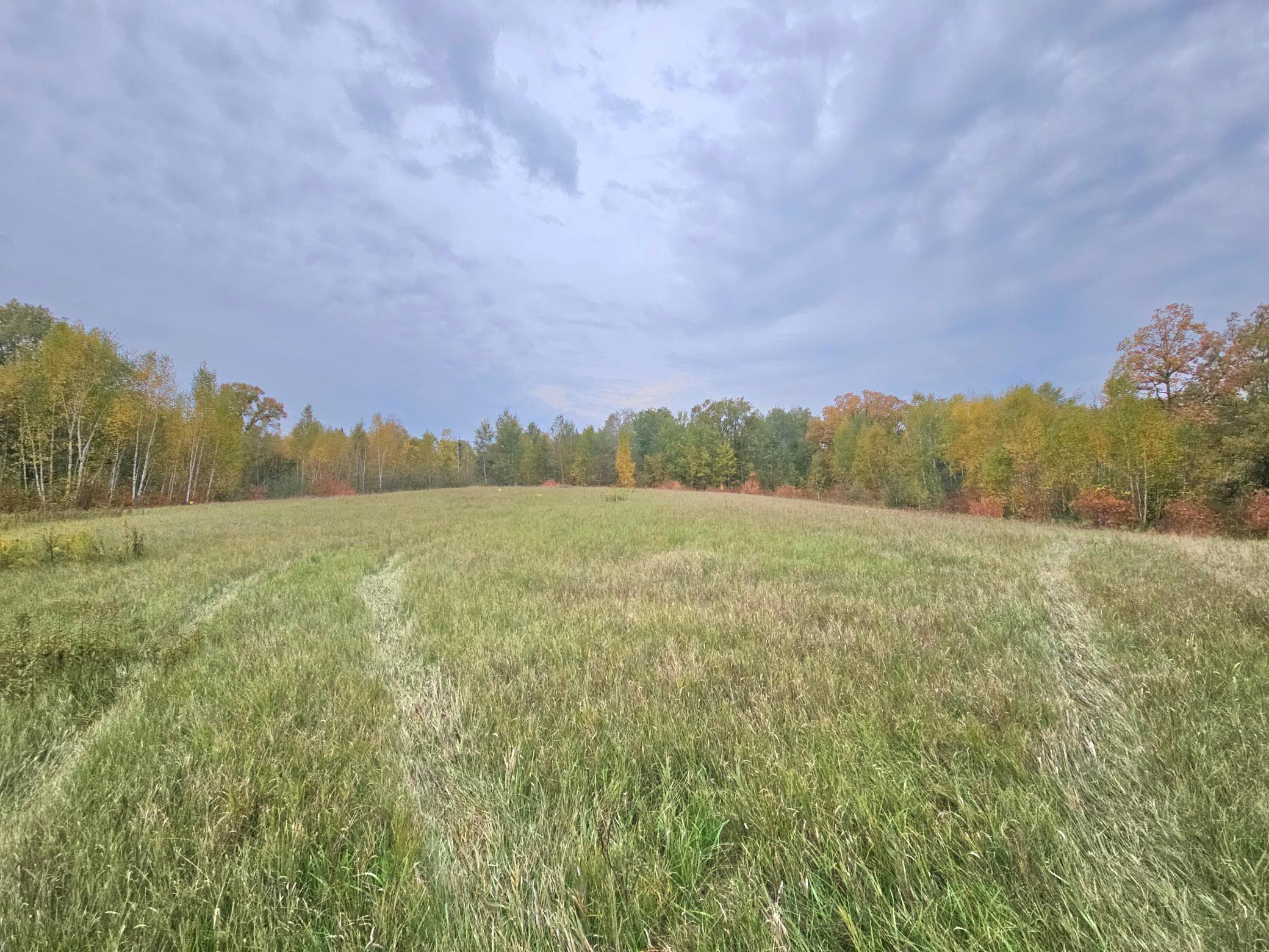 land for sale at TBD 170th Lane in Mc Grath, MN (photo 36 of 42)