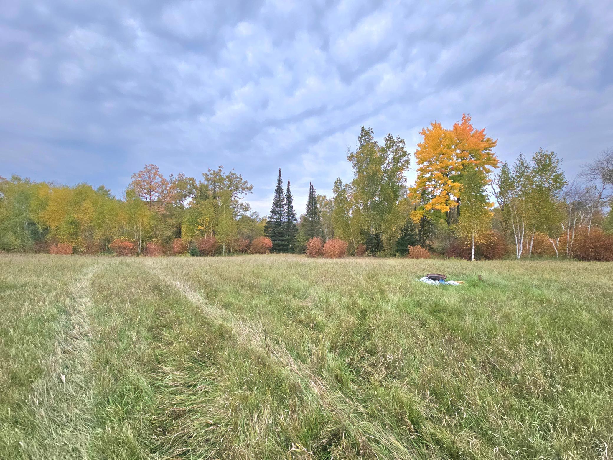 land for sale at TBD 170th Lane in Mc Grath, MN (photo 37 of 42)