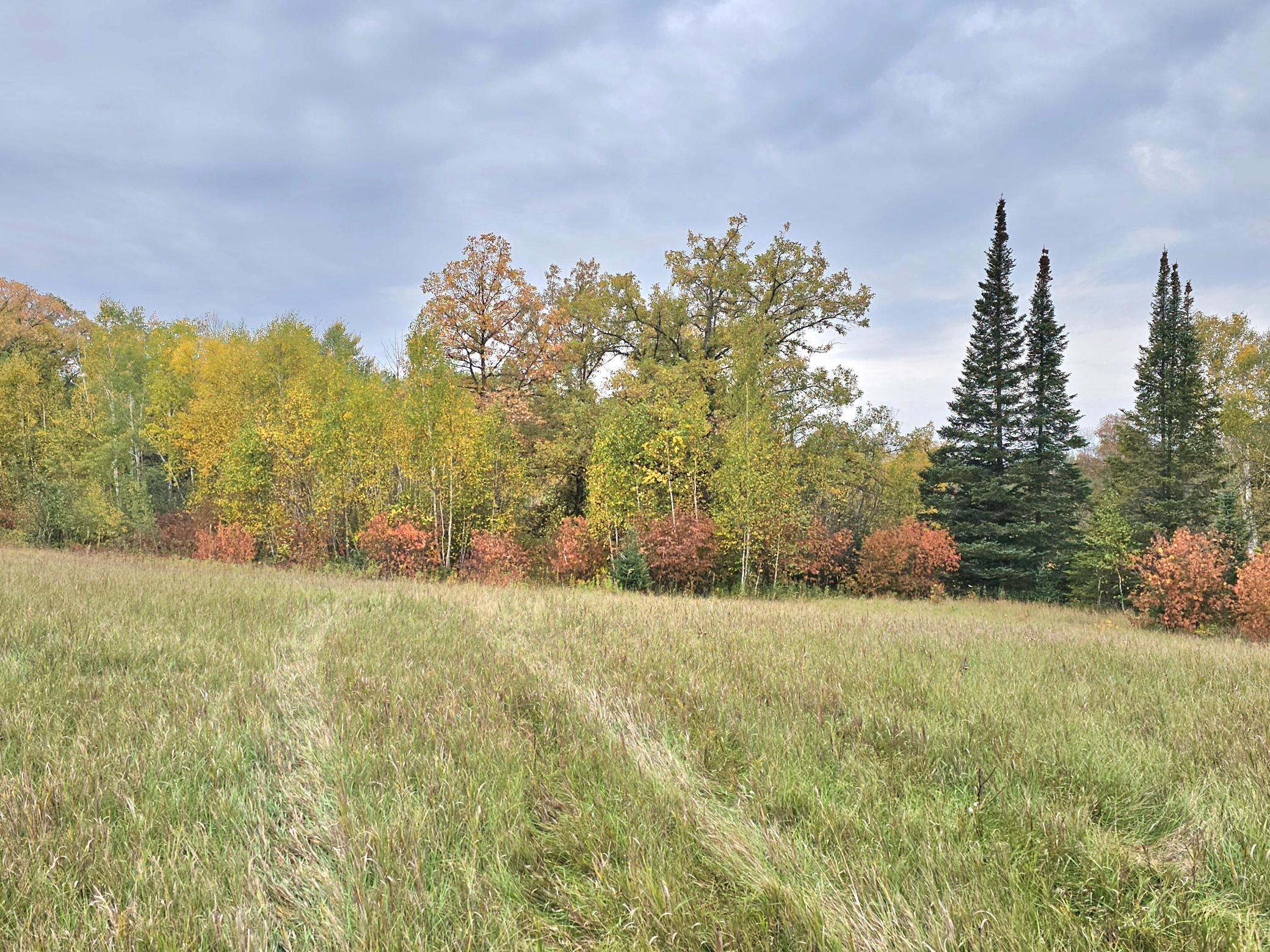 land for sale at TBD 170th Lane in Mc Grath, MN (photo 38 of 42)