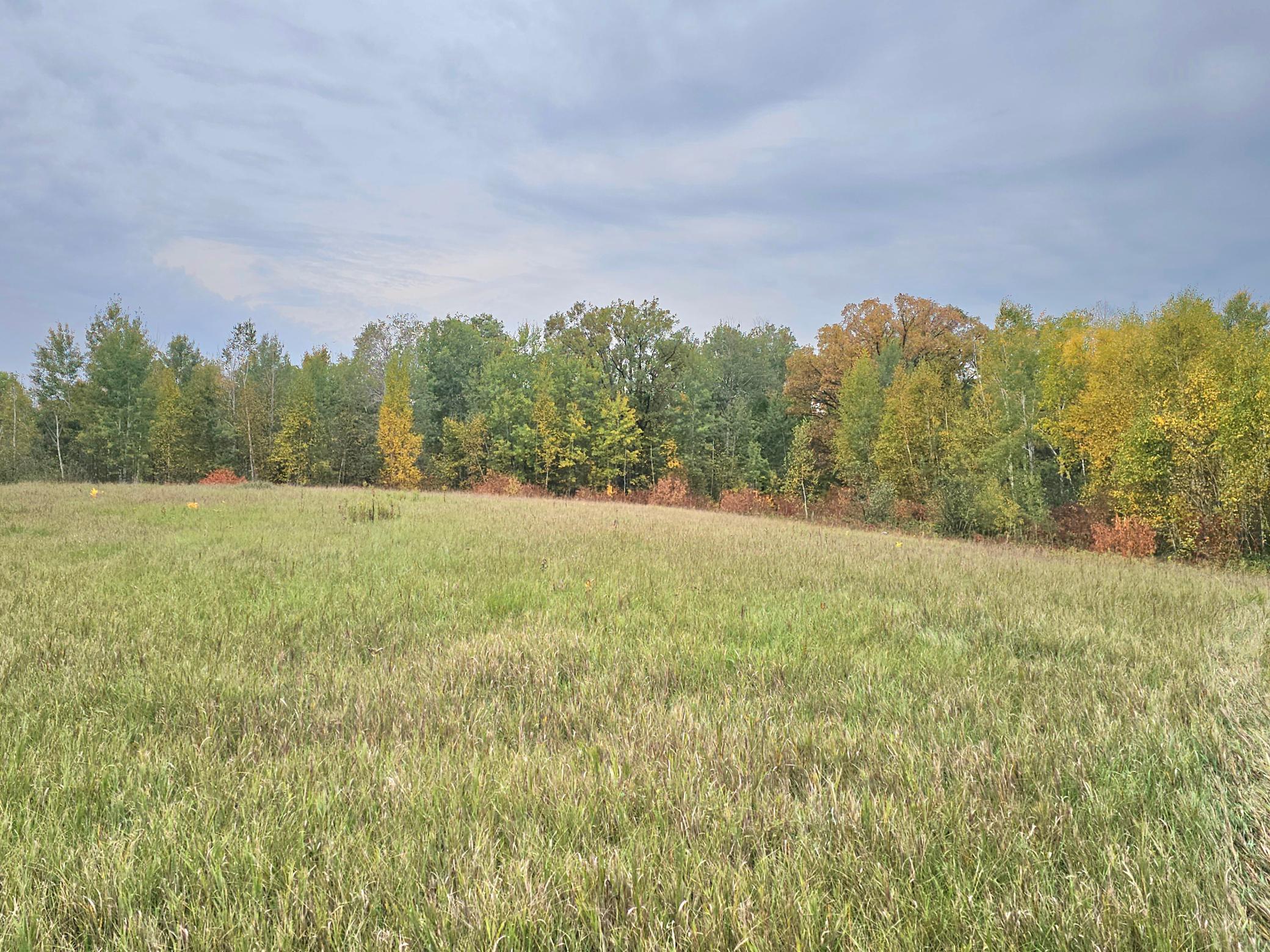 land for sale at TBD 170th Lane in Mc Grath, MN (photo 39 of 42)