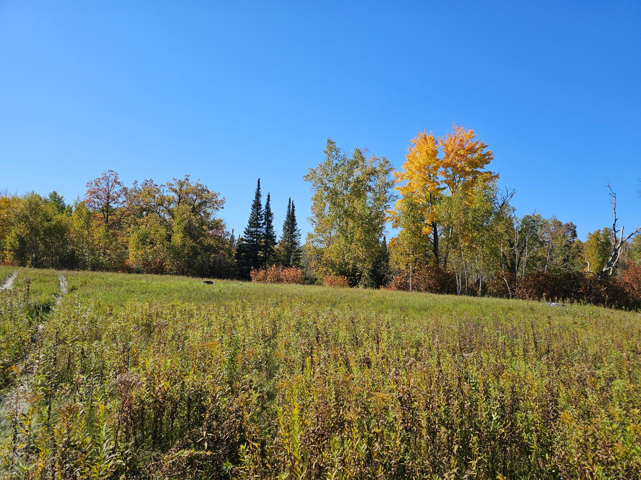 land for sale at TBD 170th Lane in Mc Grath, MN (photo 40 of 42)