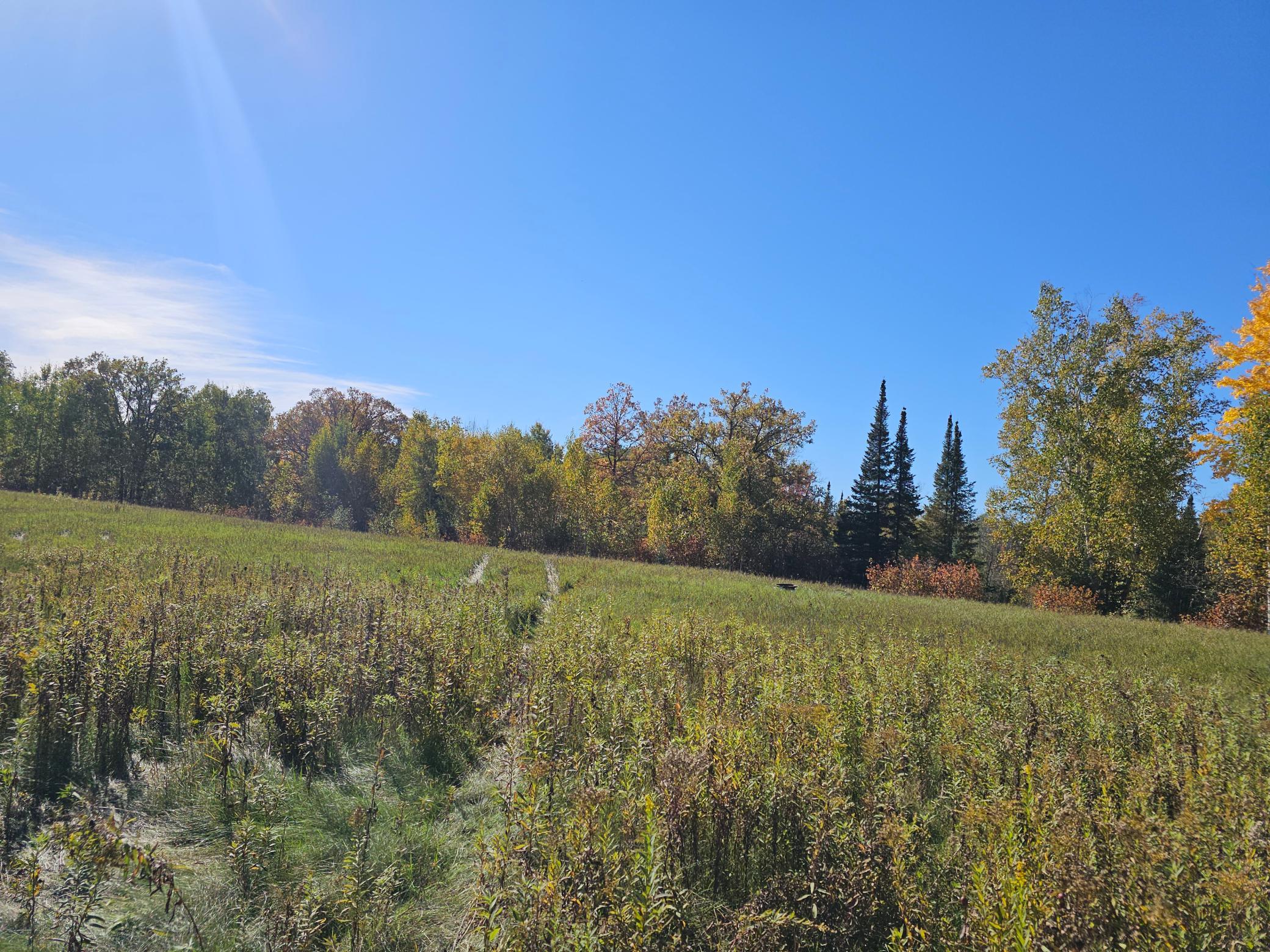 land for sale at TBD 170th Lane in Mc Grath, MN (photo 41 of 42)