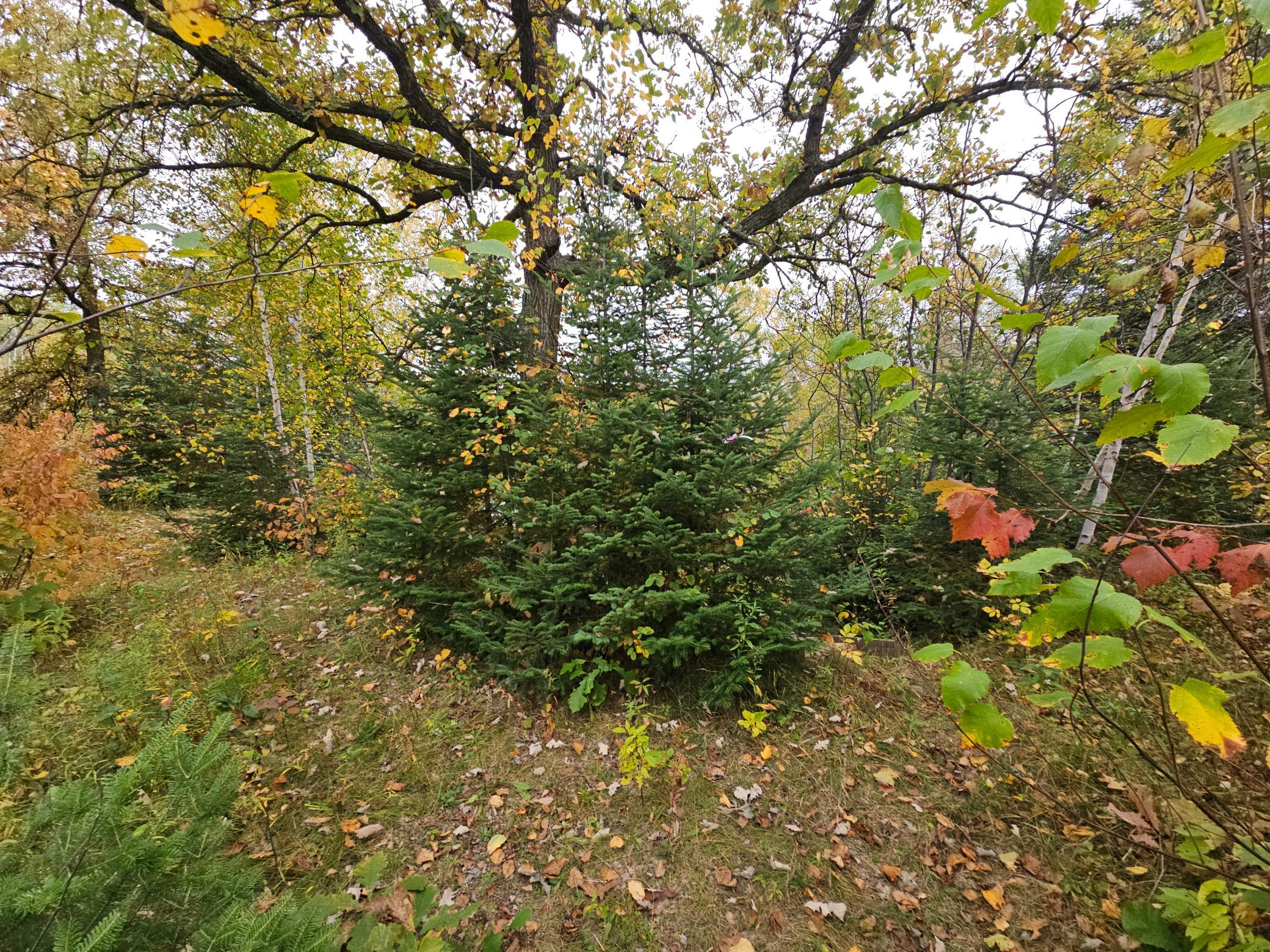 land for sale at TBD 170th Lane in Mc Grath, MN (photo 7 of 42)